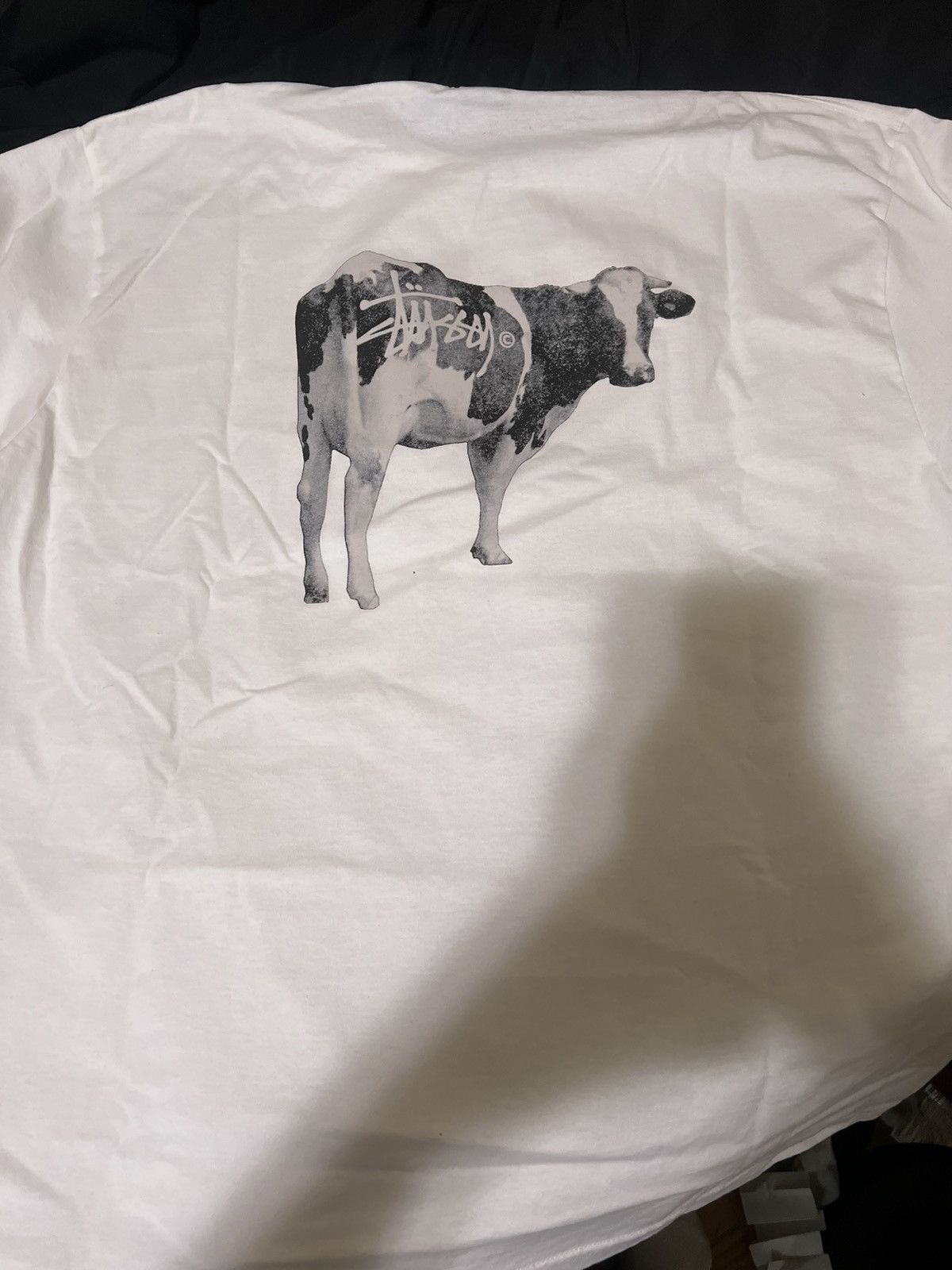 Stussy Stussy grassfed t shirt (RARE) Size US XL / EU 56 / 4 - 6 Thumbnail