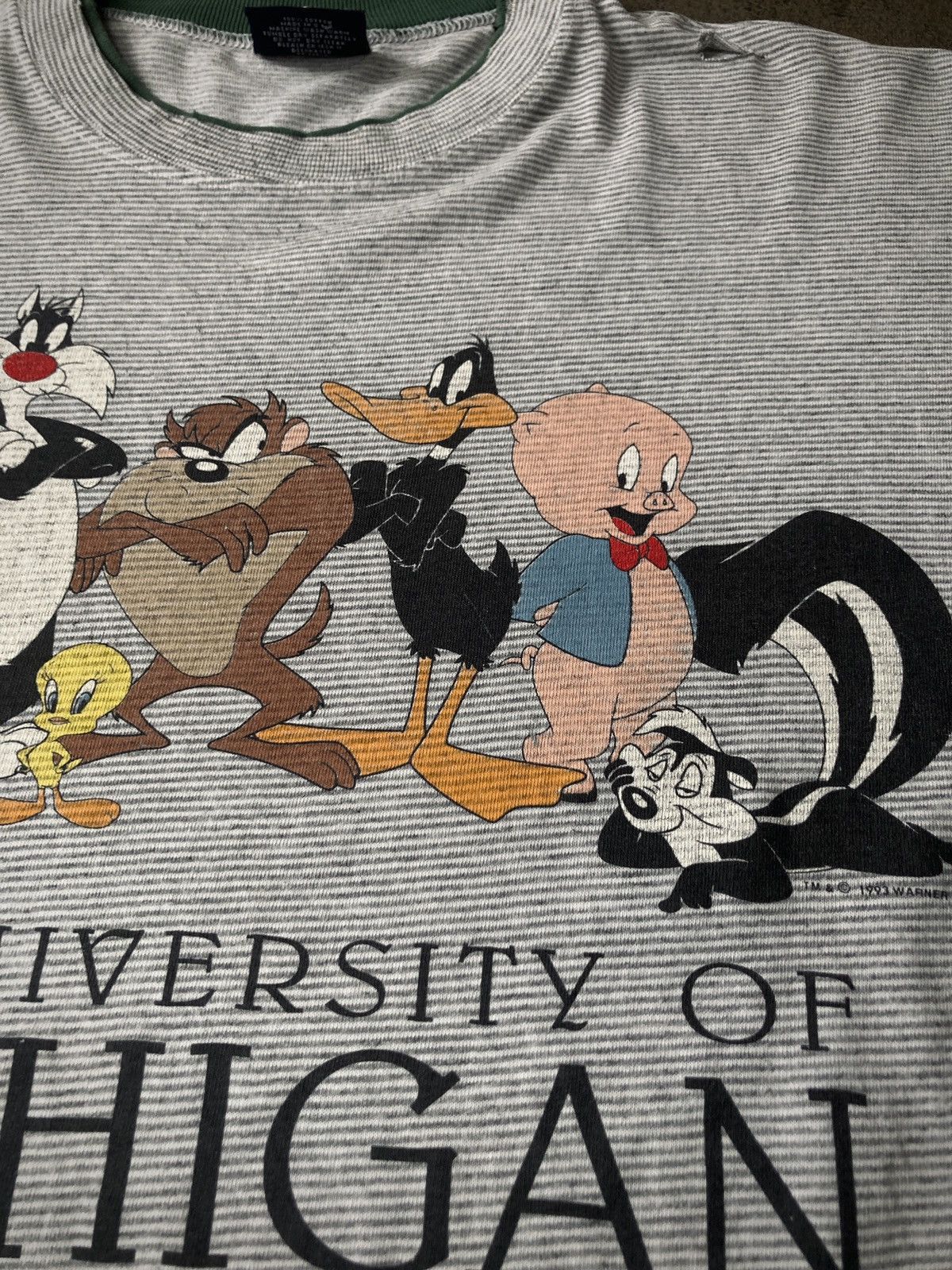Vintage Vintage ‘93 University of Michigan Warner Bros Size US L / EU 52-54 / 3 - 8 Thumbnail