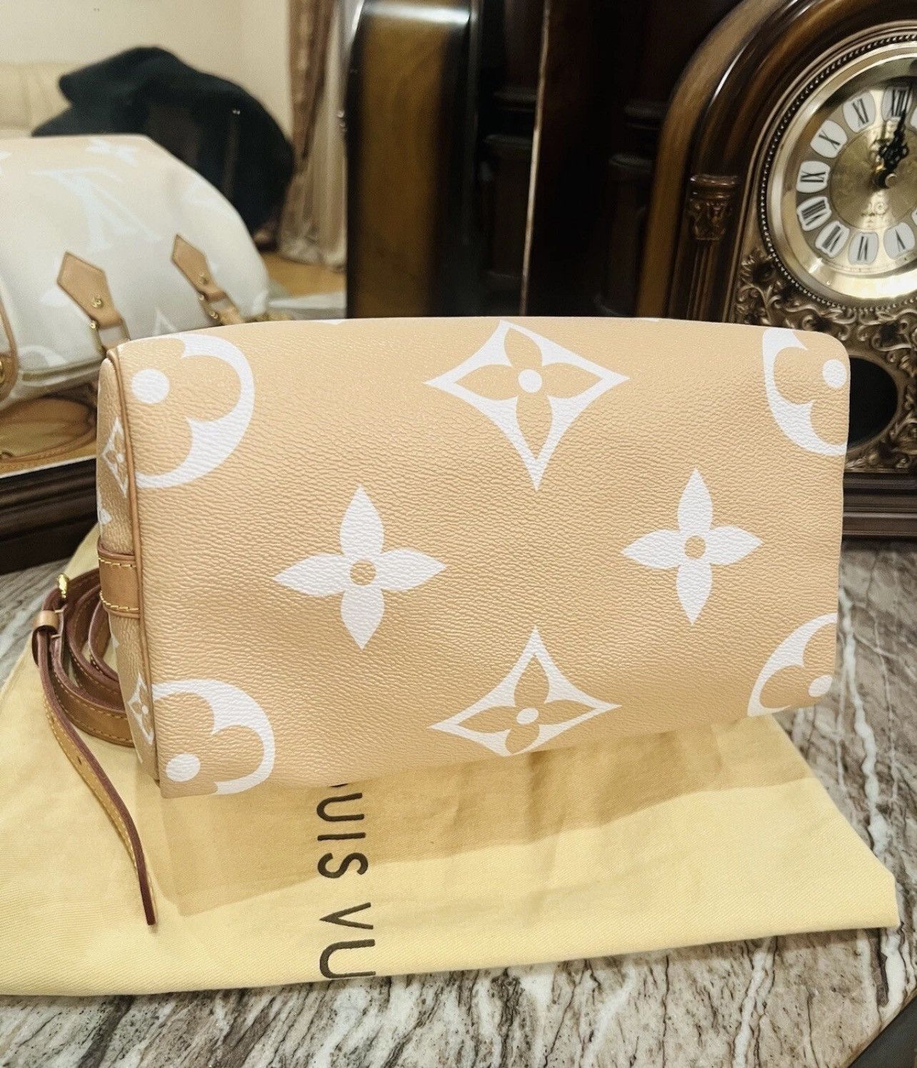 Louis Vuitton Louis Vuitton Speedy 25 Bandouliere Summer Giant Size ONE SIZE - 11 Thumbnail