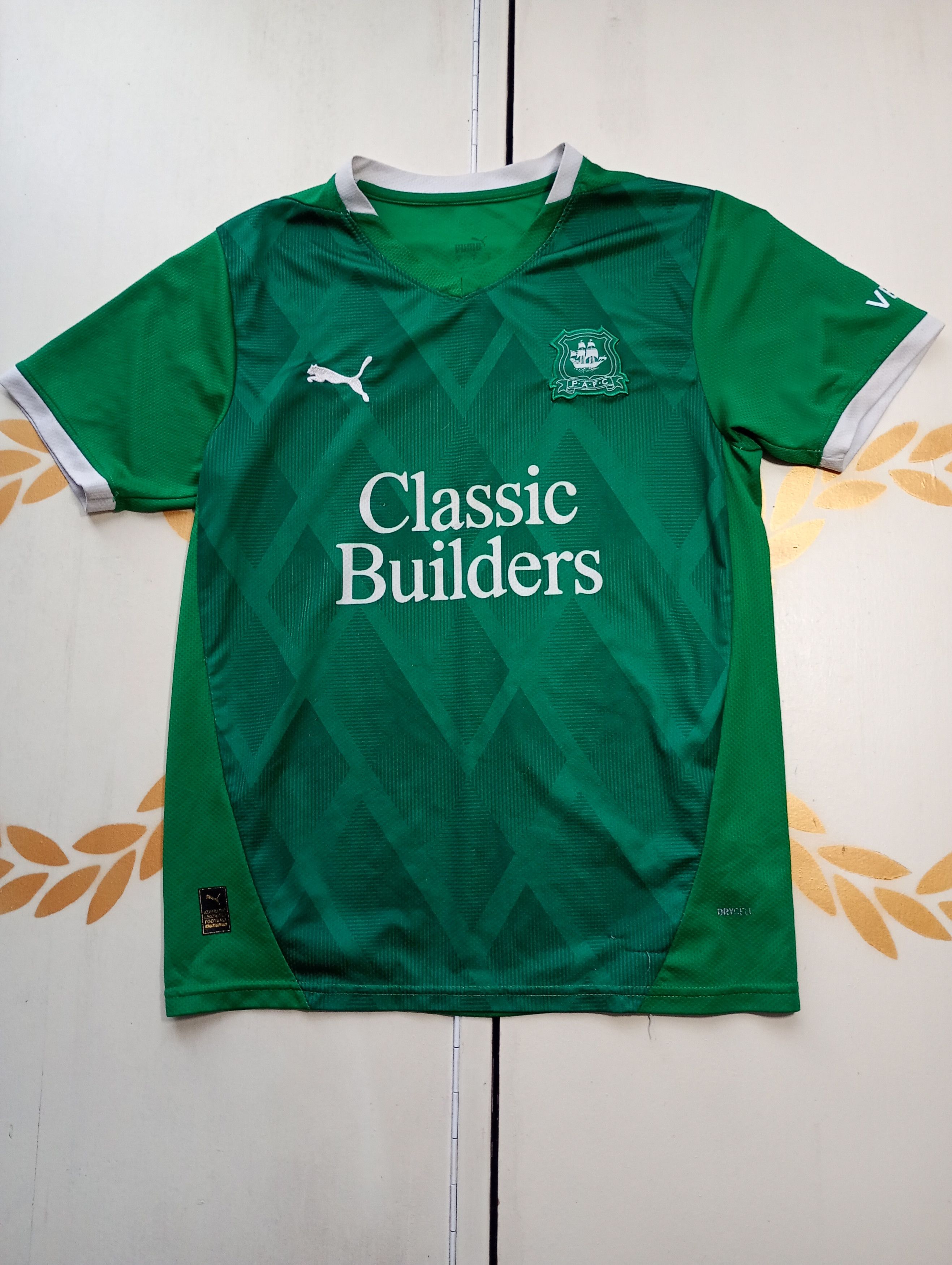 Puma Puma Plymouth Argyle FC Home Jersey 2024-2025 Size US S / EU 44-46 / 1 - 1 Thumbnail