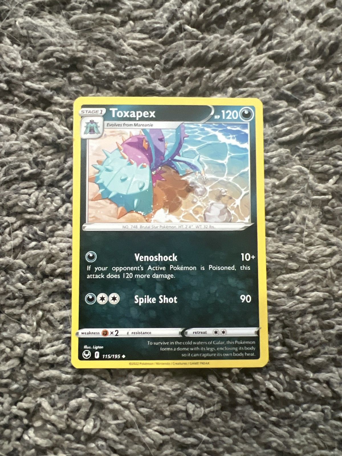 Pokemon 2022 Pokémon Toxapex Stage 1 Card Size ONE SIZE - 1 Thumbnail