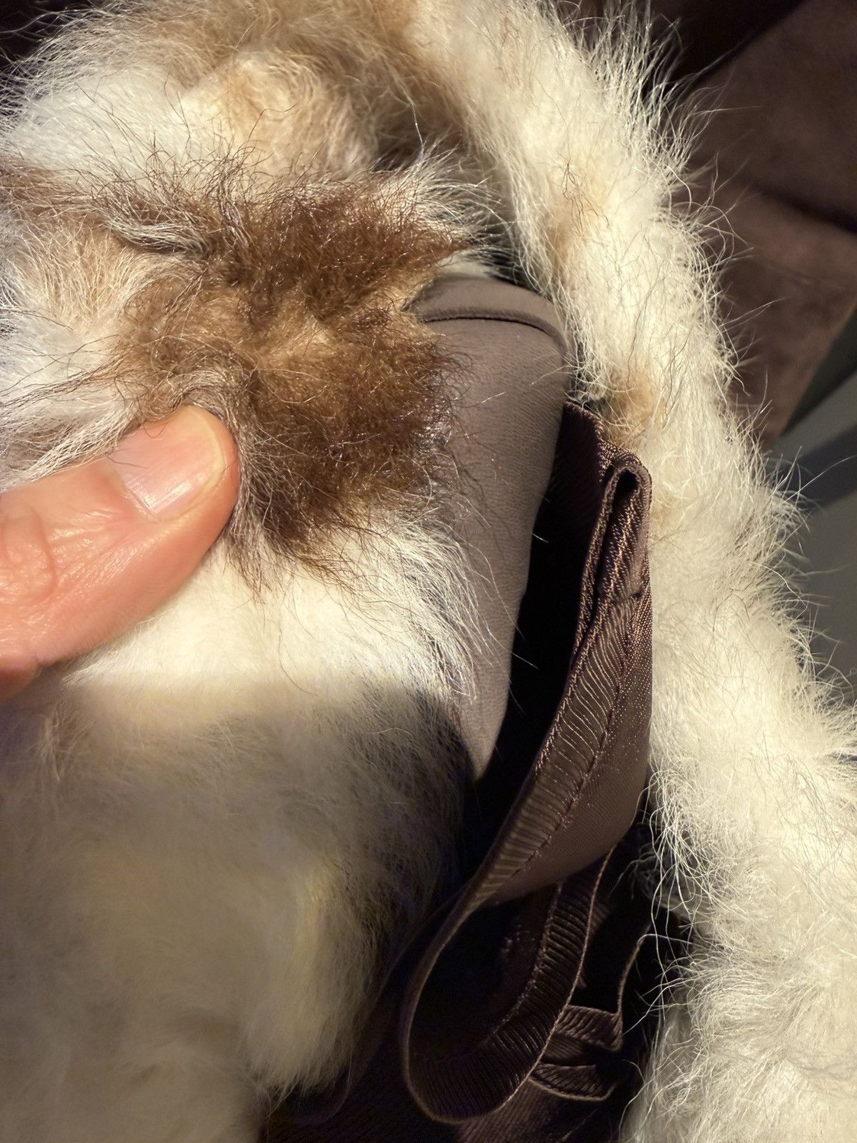 Gucci tailored suede pants with shearling trim size48 Size US 32 / EU 48 - 11 Thumbnail