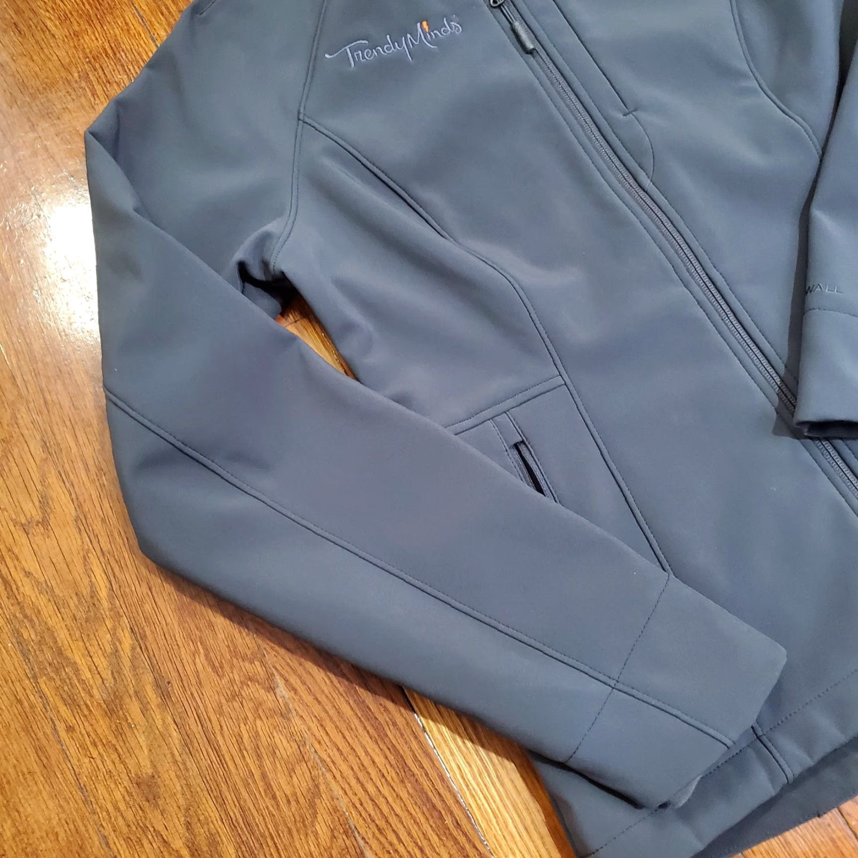 The North Face North Face Jacket Womens M Gray WindWall Softshell Full Zip Windbreaker Logo Embroidered Pockets Size M / US 6-8 / IT 42-44 - 2 Thumbnail