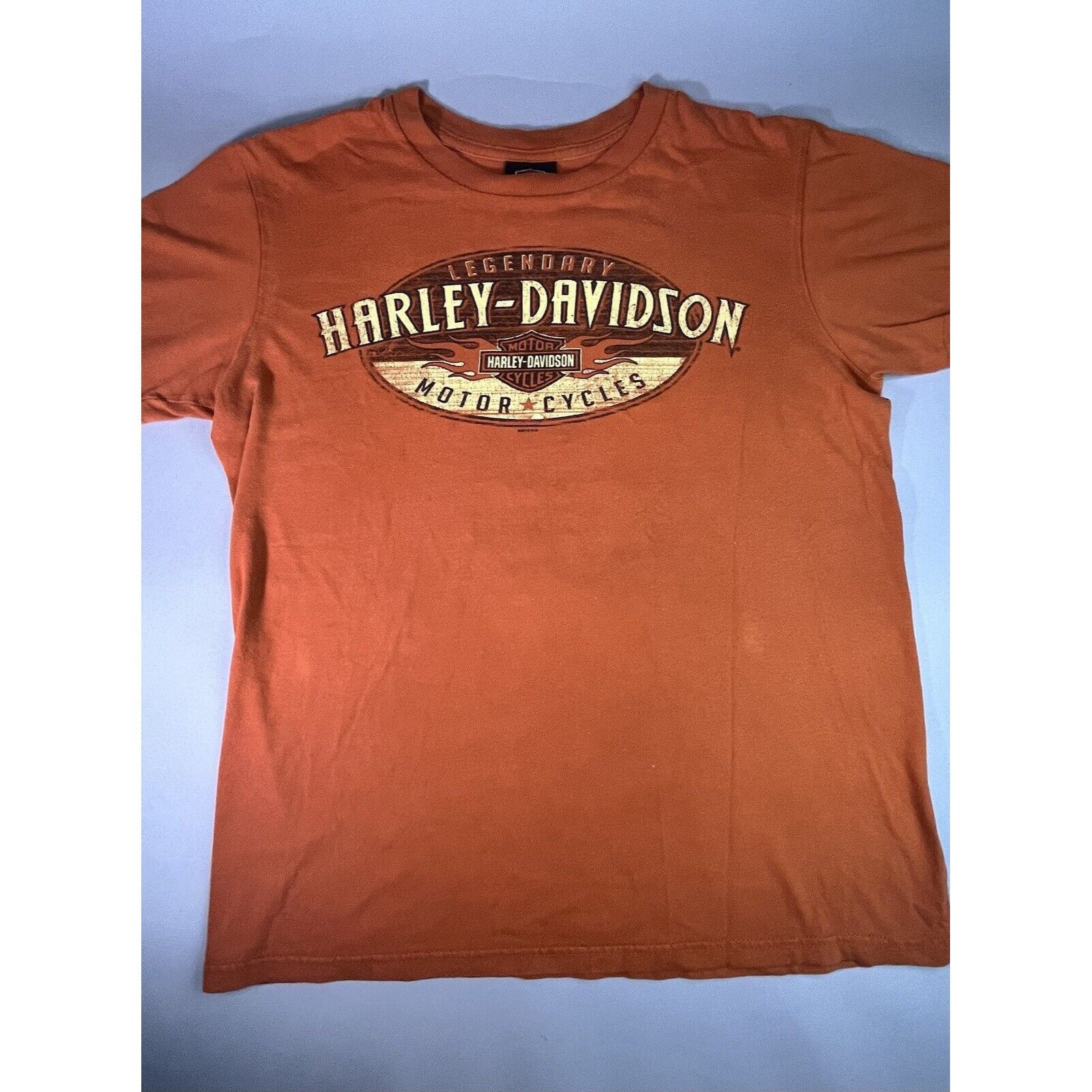 Harley Davidson 2013 Harley Davidson T-shirt Capital City Tallahassee Ride T Size US M / EU 48-50 / 2 - 3 Thumbnail