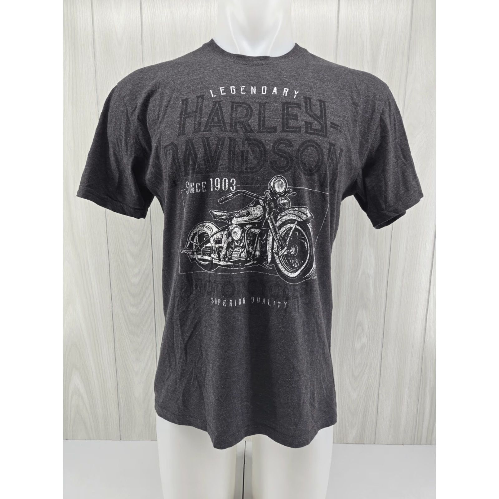 Harley Davidson VINTAGE Harley-Davidson Smoky Mountain Outpost Bryson City NC Graphic Shirt Large Gray Mens T-Shirt City 2000s Size US L / EU 52-54 / 3 - 2 Thumbnail