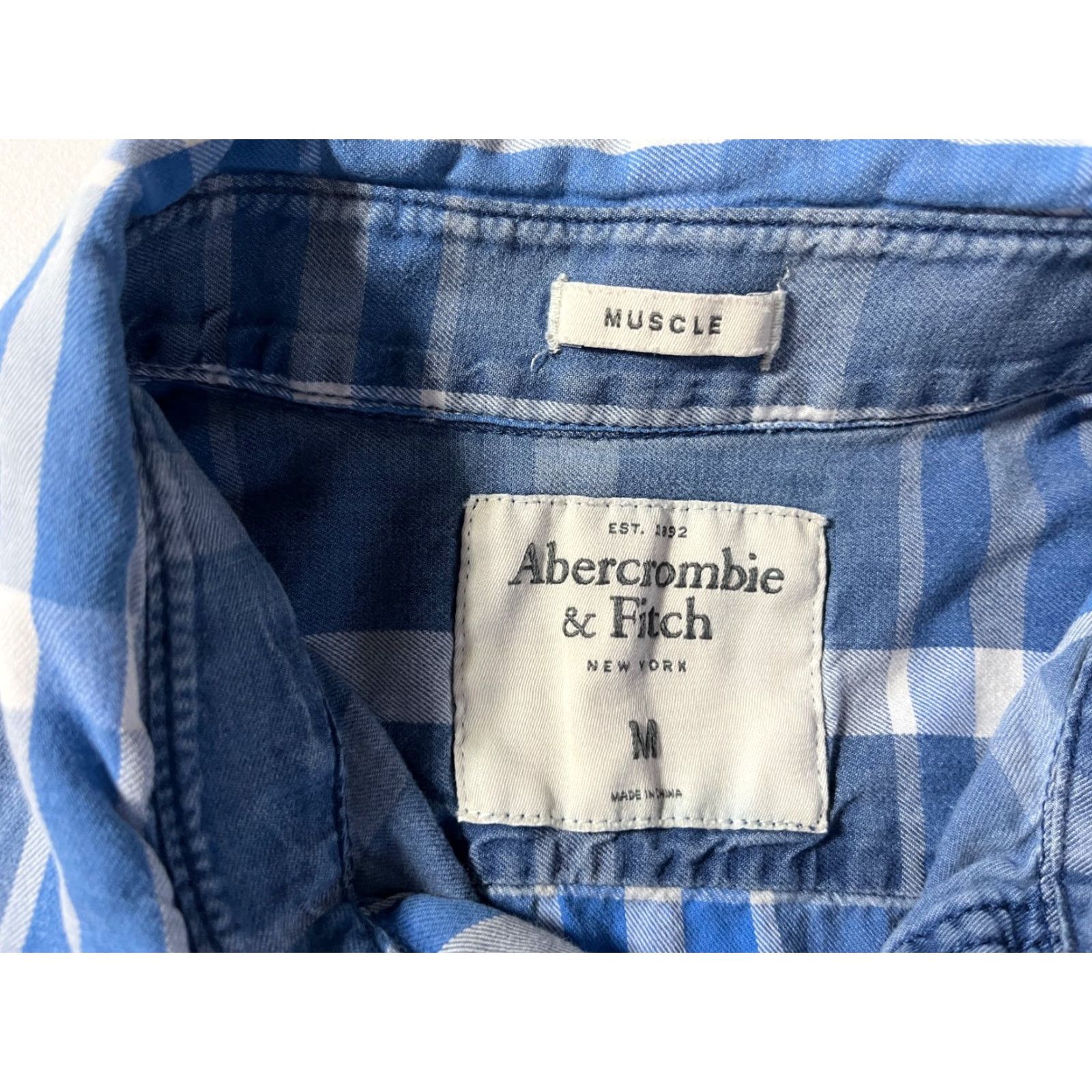 Abercrombie & Fitch VINTAGE Abercrombie & Fitch Button-Up Plaid Shirt Muscle Fit Sz M Mens Shirt Blue Size US M / EU 48-50 / 2 - 7 Thumbnail