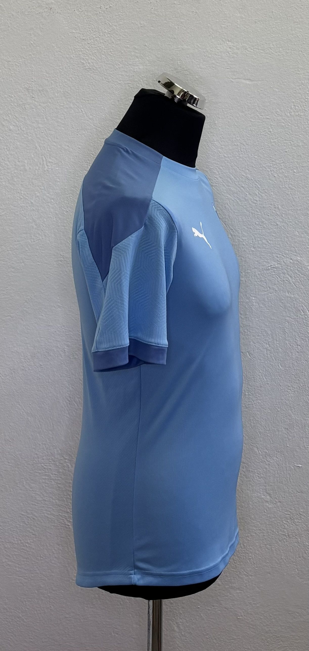 Puma Malmo FF 2019 Puma Training Football Shirt Size S Size US S / EU 44-46 / 1 - 4 Thumbnail