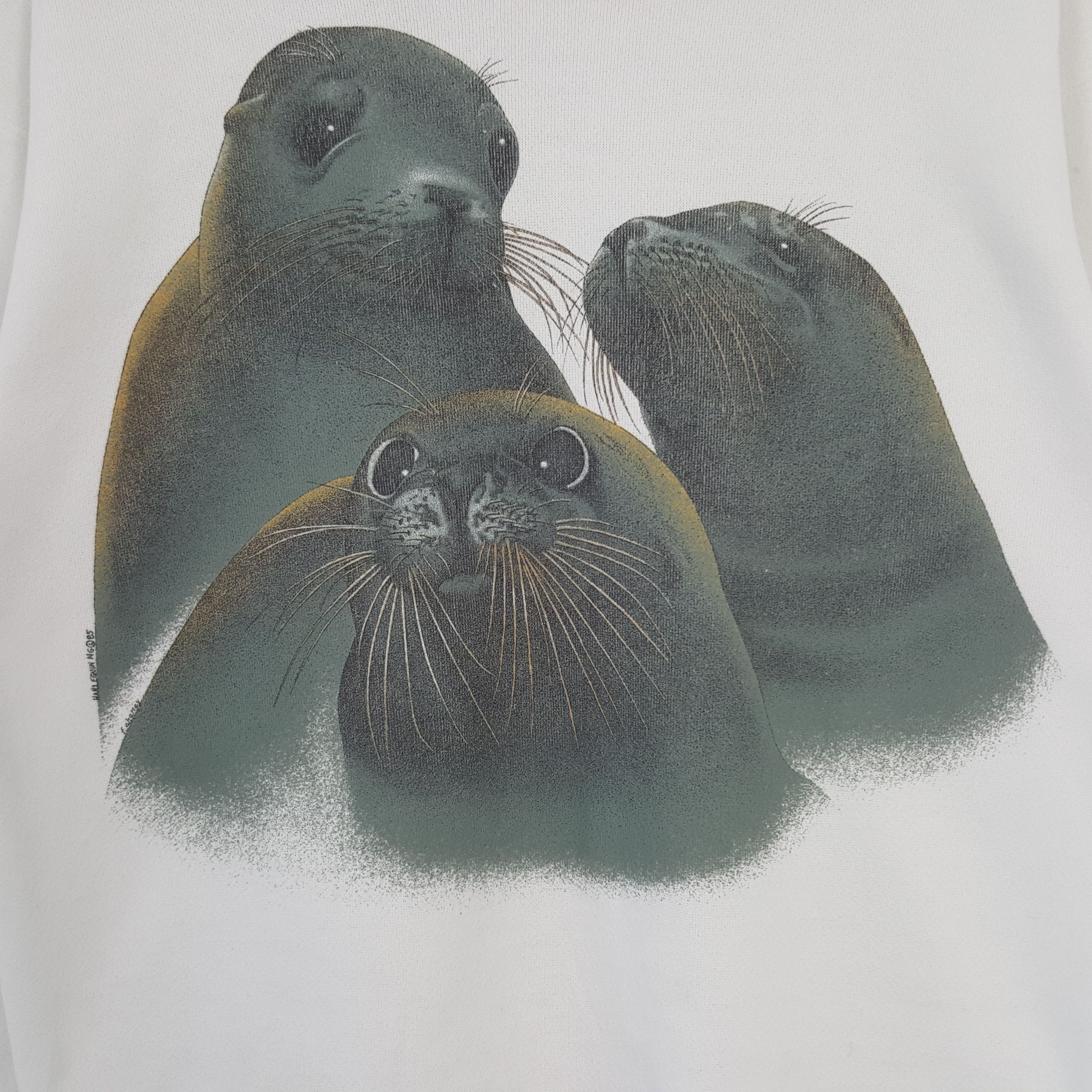Hanes Vintage Sea Lions Marco Island 80's Sweatshirt C292N7 Size US M / EU 48-50 / 2 - 2 Thumbnail