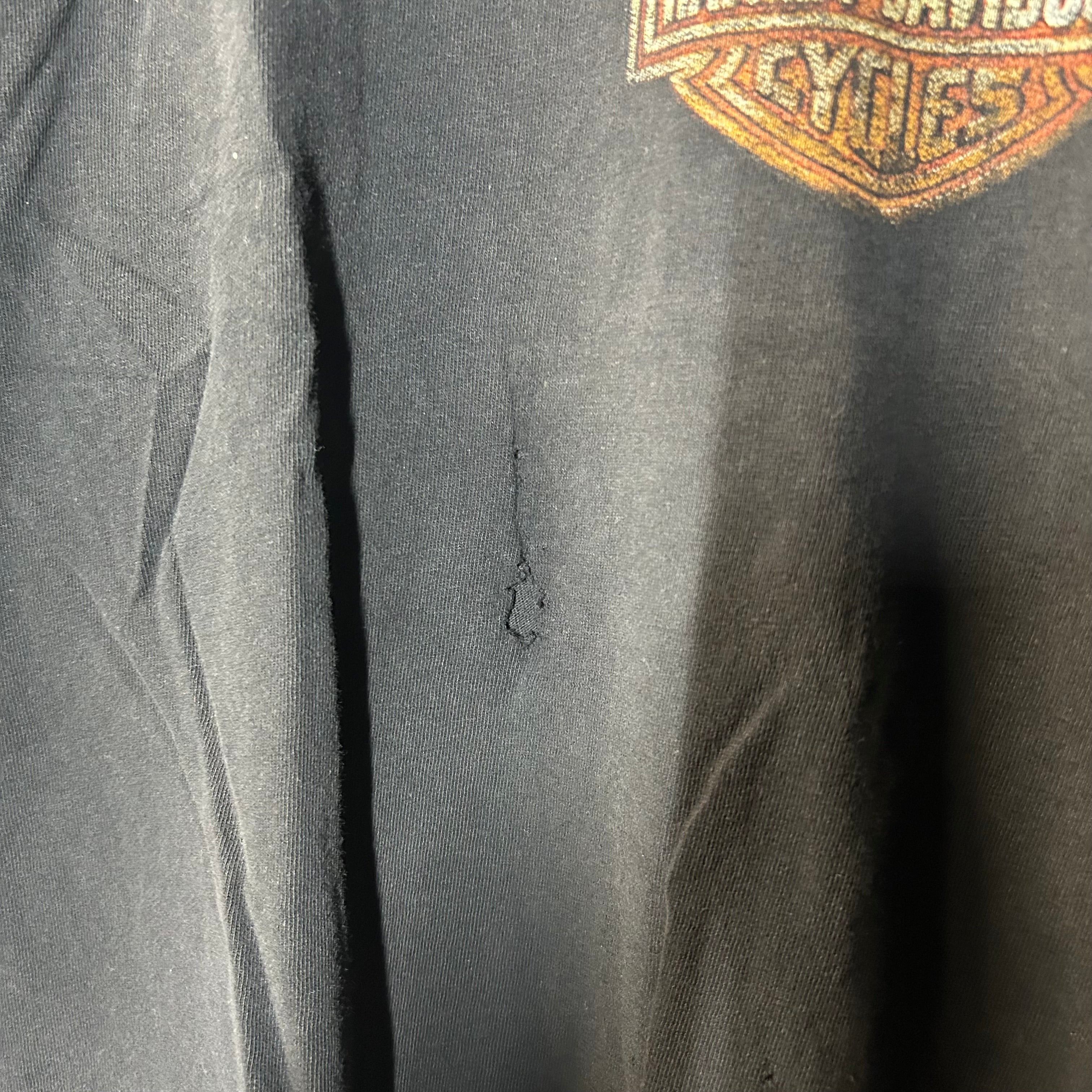 Harley Davidson Y2K Genuine Harley Davidson Tee Size 2XL Size US XXL / EU 58 / 5 - 5 Thumbnail