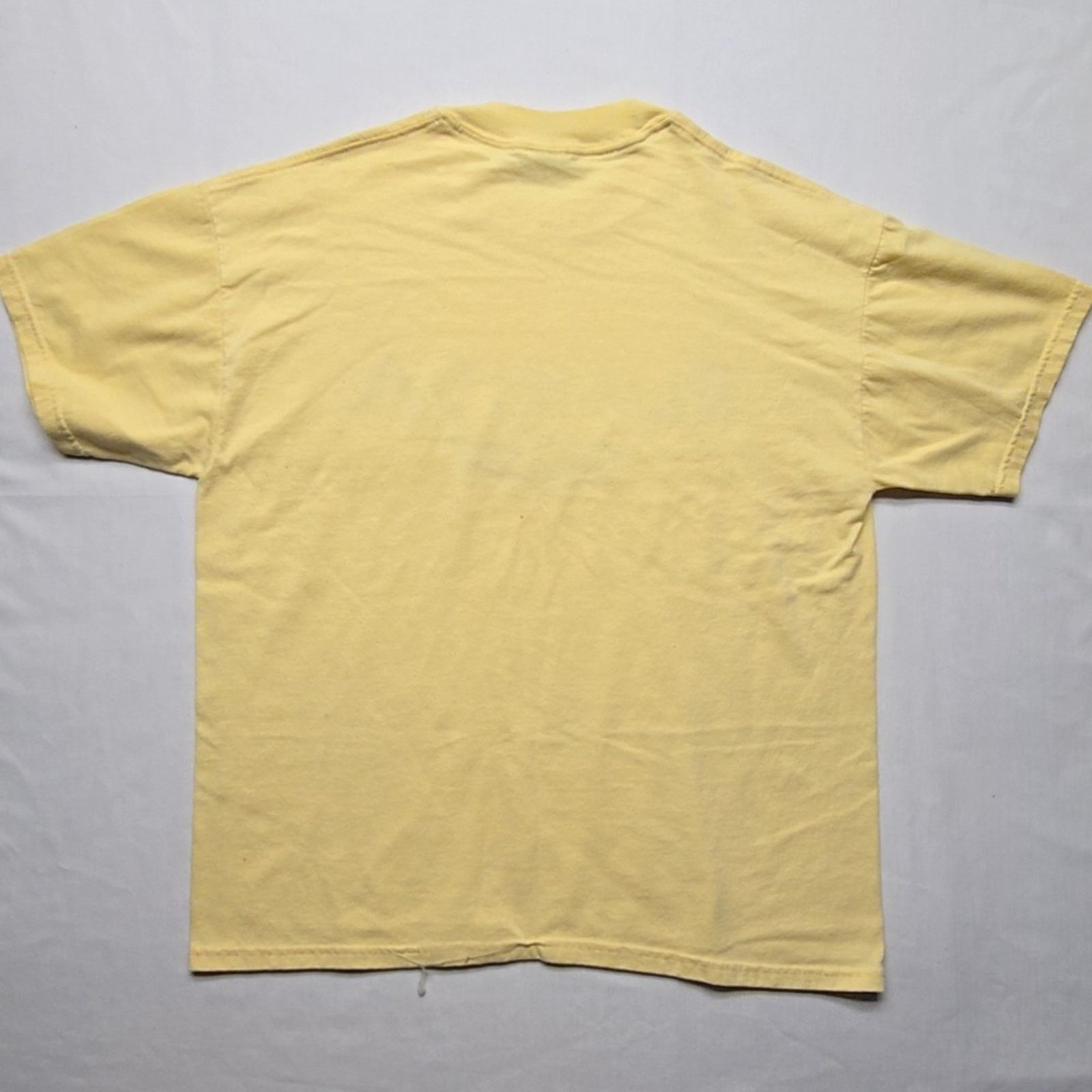 Jerzees Vintage Florida Floral T-shirt Yellow L Flower Graphic Tee Size L / US 10 / IT 46 - 5 Thumbnail