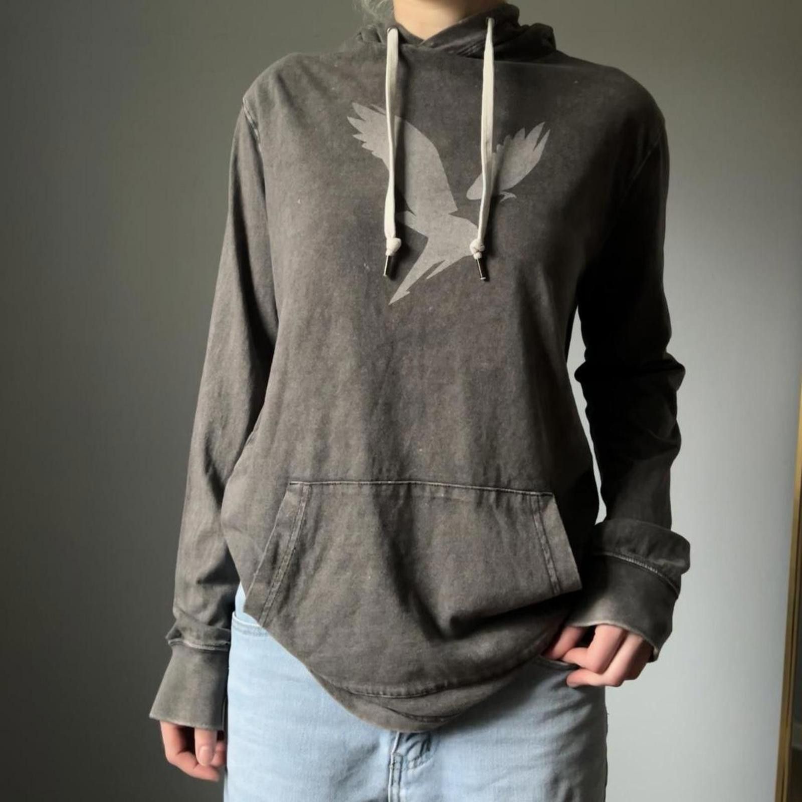 American Eagle Outfitters American Eagle Hoodie Size XS / US 0-2 / IT 36-38 - 1 Thumbnail
