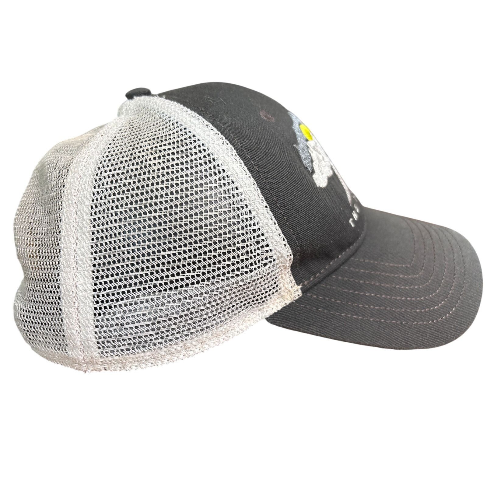 The North Face The North Face Bear Mountains adjustable OSFA embroidered Size ONE SIZE - 3 Thumbnail