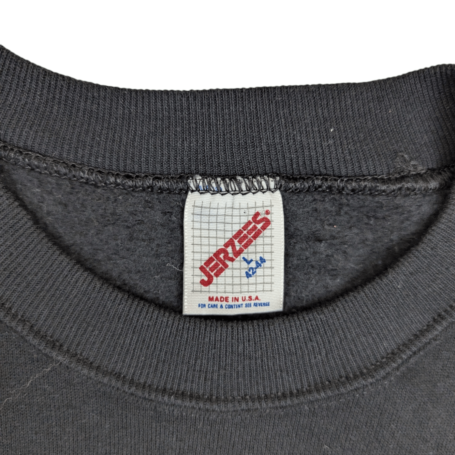 Jerzees Vintage 90's JERZEES Cactus Custom Jumper Sweatshirt Size US L / EU 52-54 / 3 - 8 Thumbnail