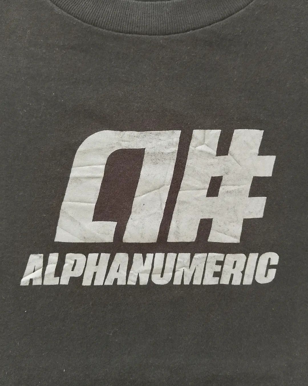 Alphanumeric Vintage Alpha Numeric Streetwear/Skateboard Brand Tshirt Size US L / EU 52-54 / 3 - 2 Thumbnail