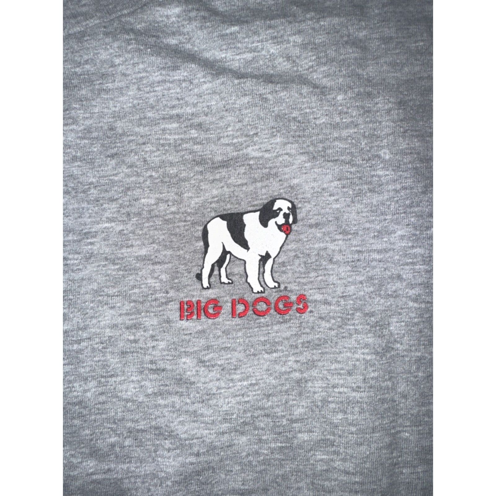 Big Dogs VINTAGE Big Dogs T-Shirt Graphic 1997 Large & In Charge Coach Gray L Men Crew Neck Cotton 90s Sports Size US L / EU 52-54 / 3 - 5 Thumbnail