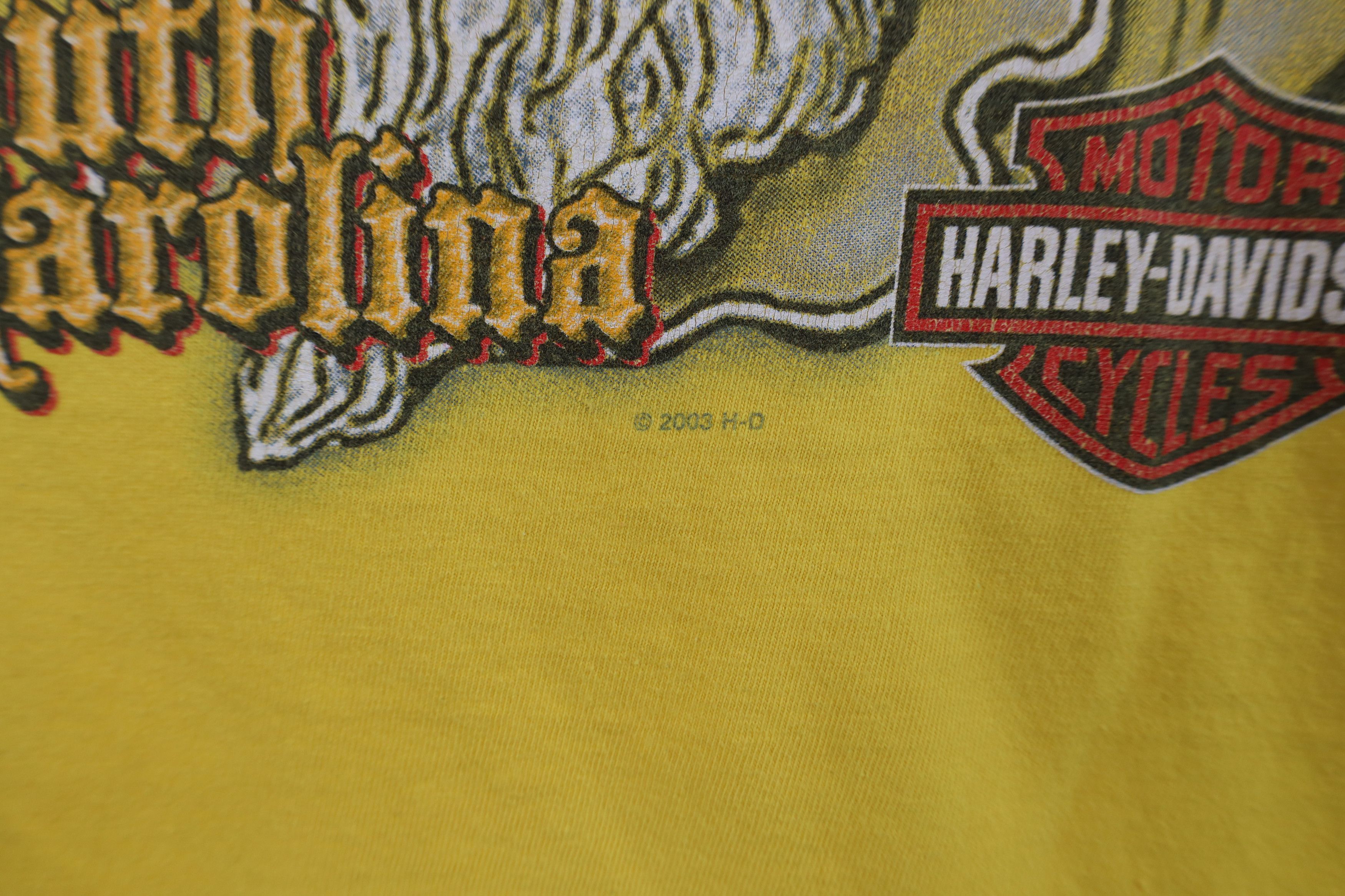 Harley Davidson × Vintage Vintage Y2K 2004 Harley Davidson Flames Pirate T-Shirt USA Size US L / EU 52-54 / 3 - 12 Thumbnail