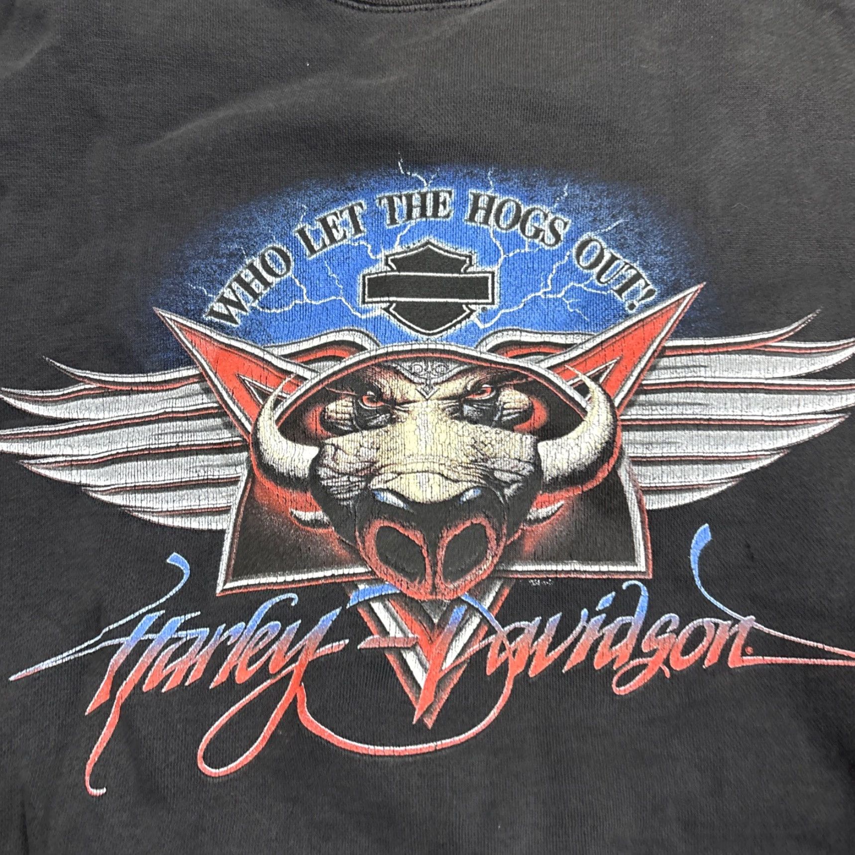 Harley Davidson VTG Harley-Davidson Sweatshirt Mens XL Pullover Black 80s 90s Biker Motorcycle Who Let The Hogs Out Iowa Size US XL / EU 56 / 4 - 2 Thumbnail