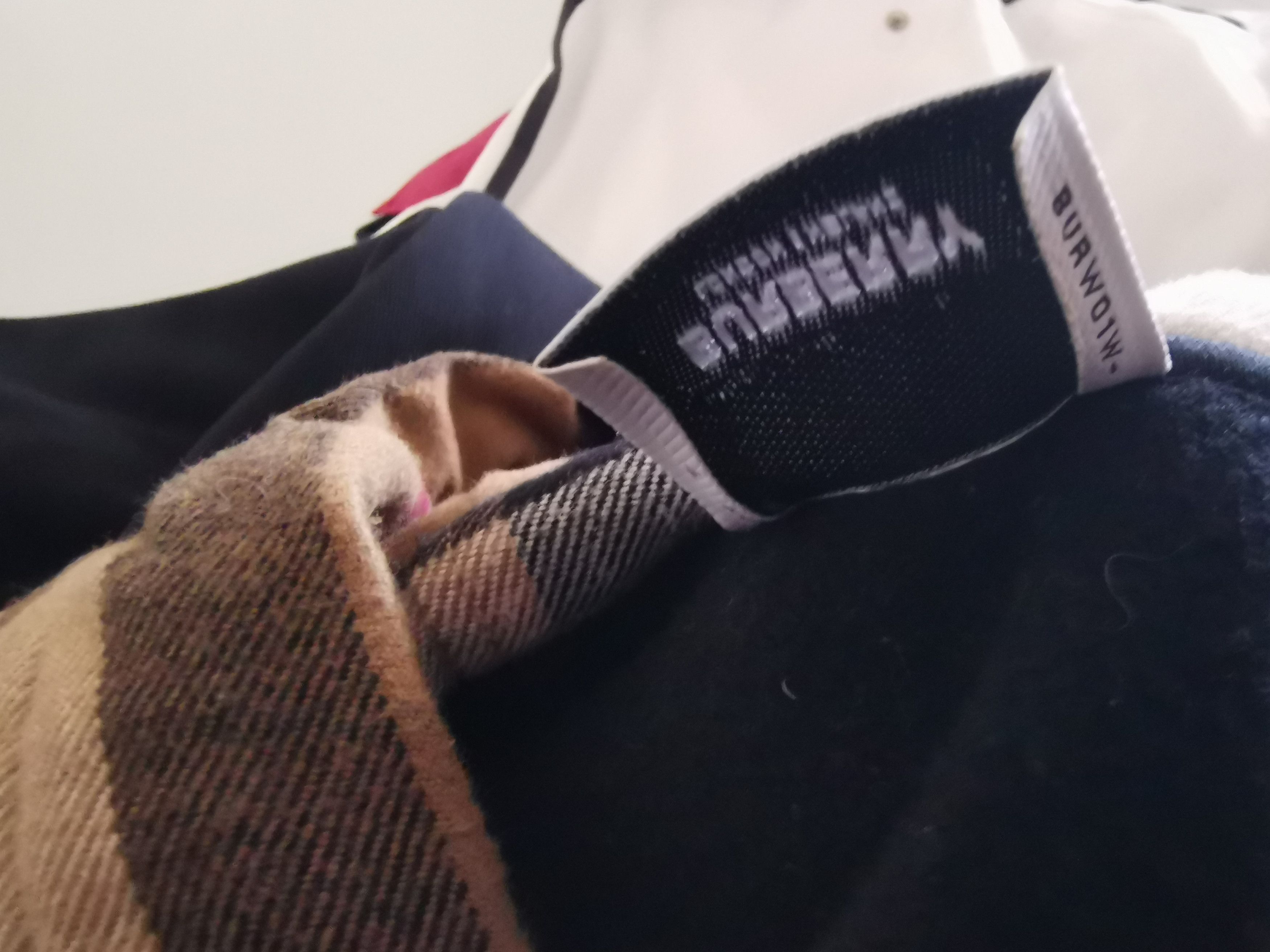 Burberry Burberry Samuel Check Hoodie Size US L / EU 52-54 / 3 - 4 Thumbnail