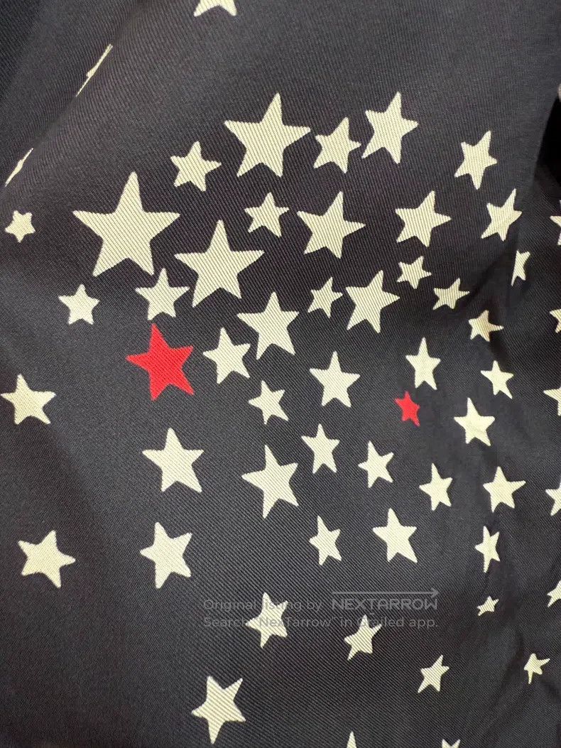 Valentino Valentino Star mulberry silk coat Size L / US 10 / IT 46 - 3 Thumbnail