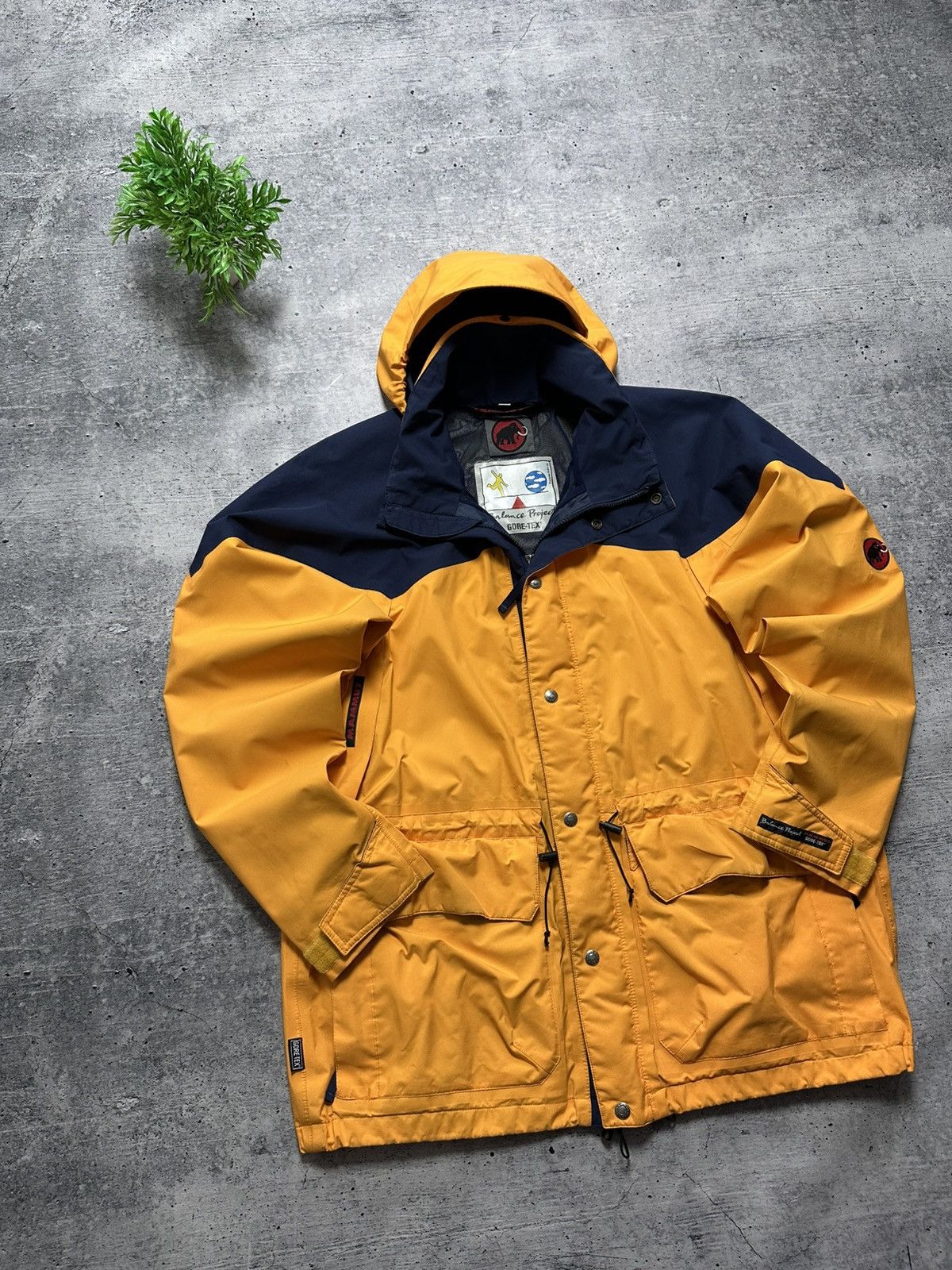 Mammut Balance Project Gore Tex Ski Mountain Outdoor Jacket