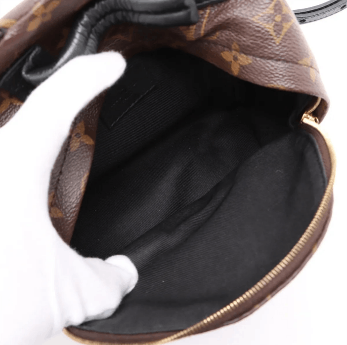 Louis Vuitton Monogram Palm Springs Mini Backpack Size ONE SIZE - 7 Thumbnail