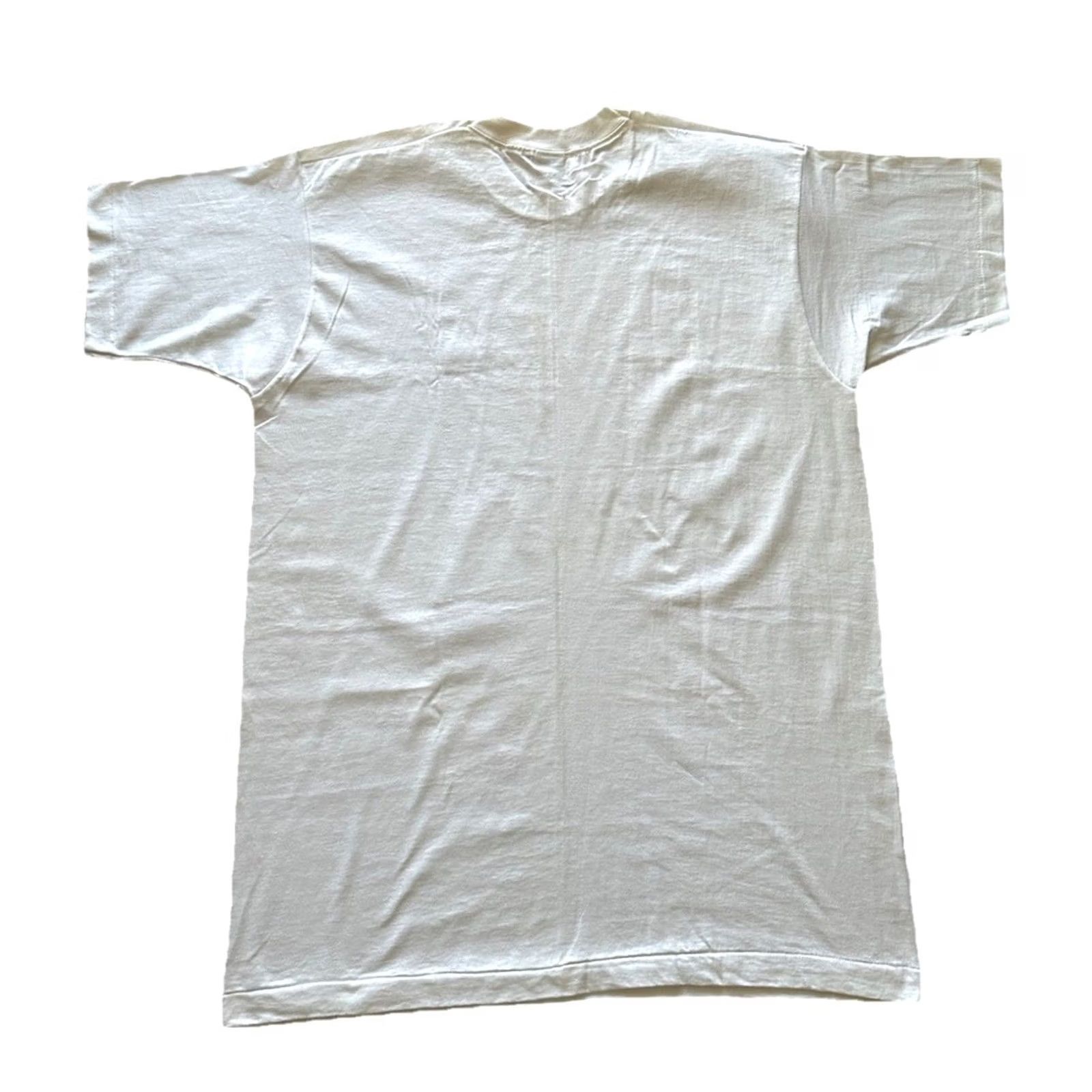 Fruit Of The Loom VINTAGE 90s Fruit of the Loom T-Shirt XL White Crew Neck Short Sleeve Single Stitch NWOT 101 Dalmatians 5 Seconds of Summer A Bug's Life 90s Size US XL / EU 56 / 4 - 7 Thumbnail
