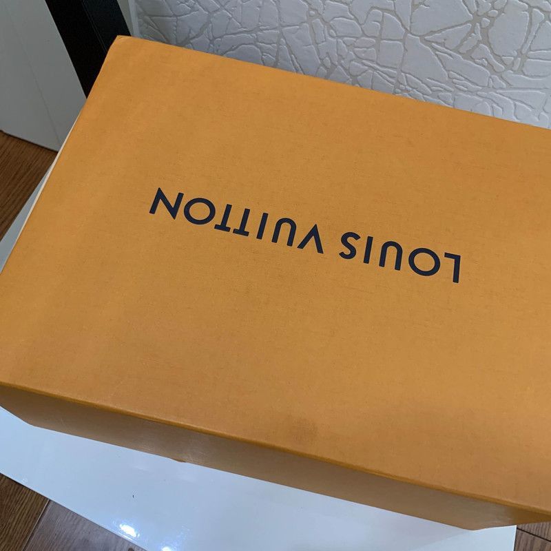 Louis Vuitton Louis Vuitton Trendy Low-top Fashion Sneakers -2508 Size US 8.5 / EU 41-42 - 7 Thumbnail