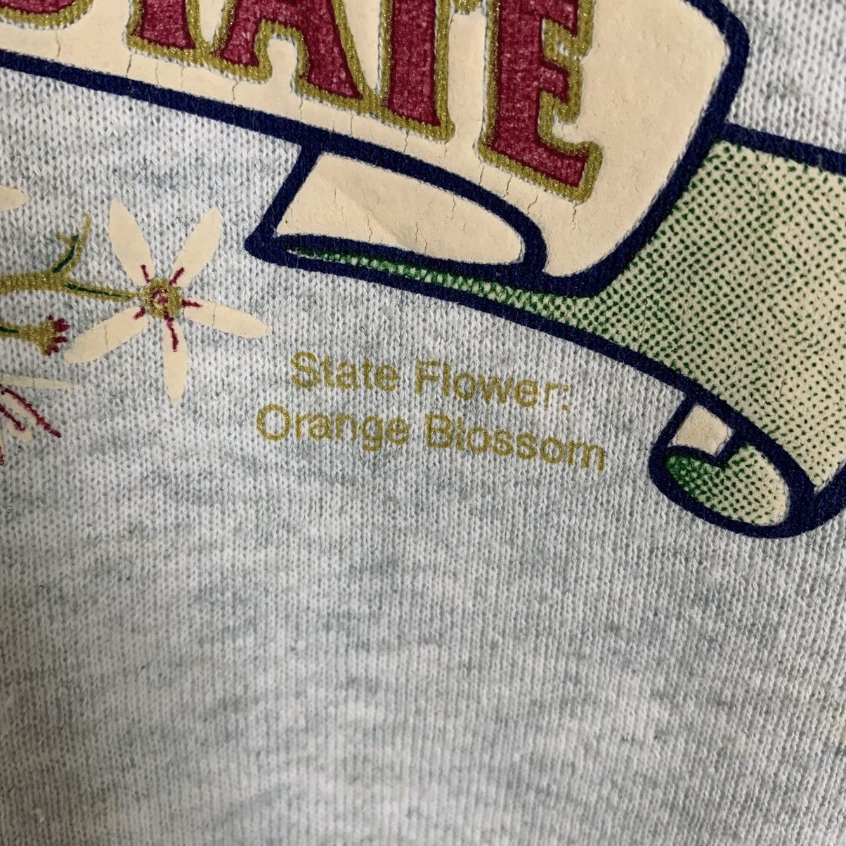 Fruit Of The Loom × Vintage Vintage The Sunshine State Florida Sweatshirt Size US M / EU 48-50 / 2 - 7 Thumbnail