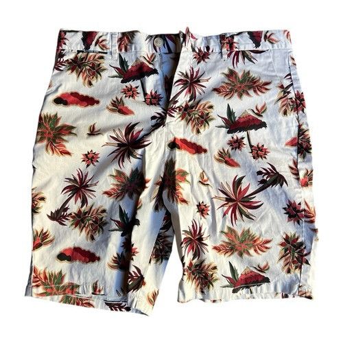 Scotch & Soda Scotch & Soda Mens Shorts Size 31D Size US 31 - 2 Thumbnail