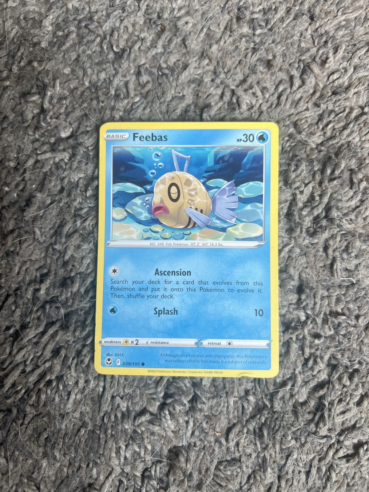 Hypebeast × Nintendo × Pokemon 2022 Pokémon Feebas Basic Card Size ONE SIZE - 1 Thumbnail
