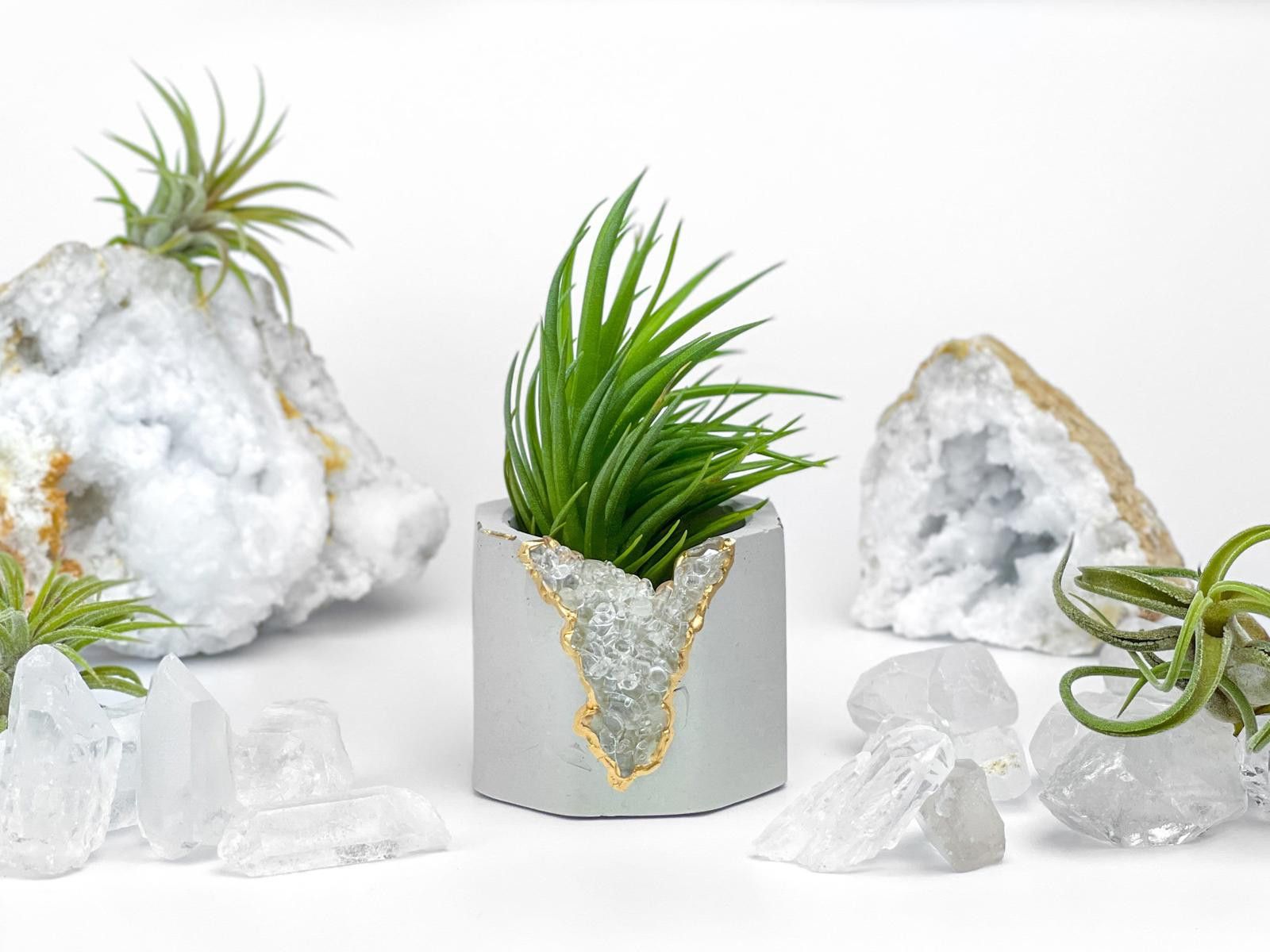 Other Clear Quartz Crystal Planter Small Succulent Pot tillandsia Size ONE SIZE - 1 Thumbnail