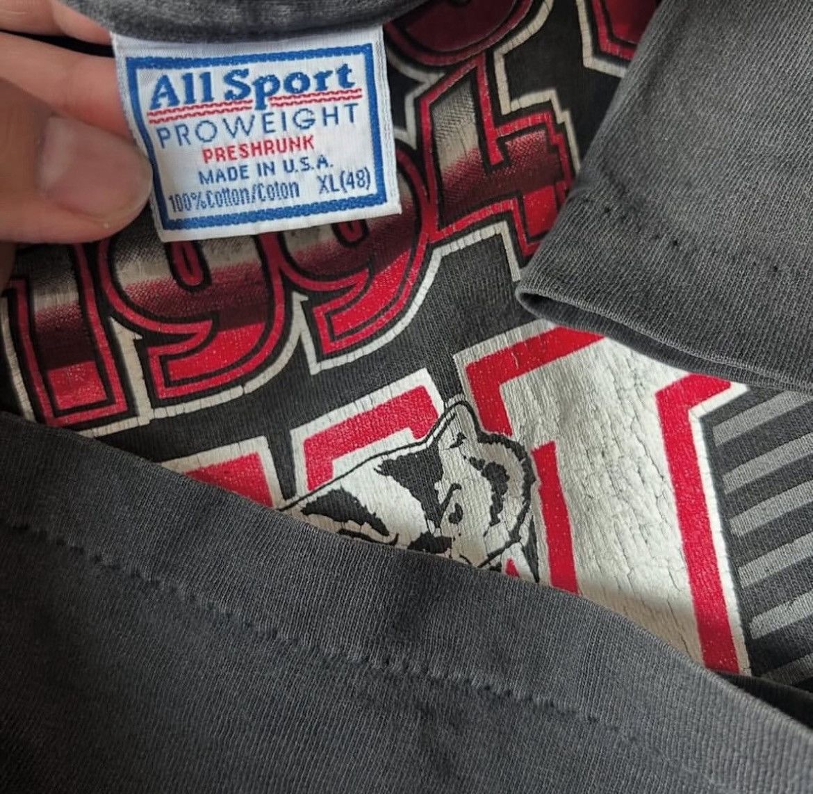 Other Vintage 90s Wisconsin Badgers (Fade) Size US XL / EU 56 / 4 - 2 Thumbnail