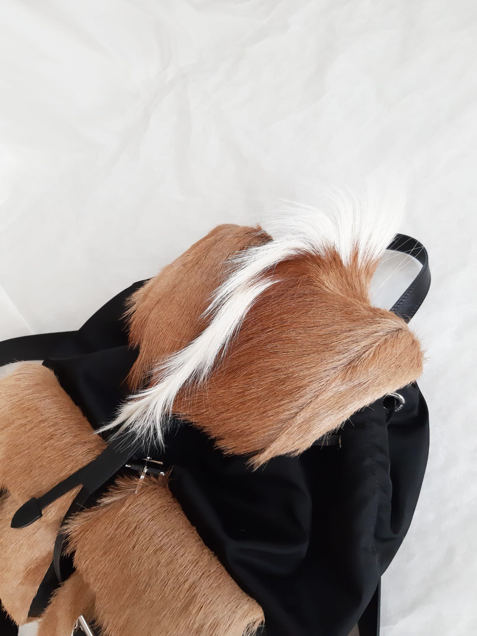 Prada Prada Gazelle Fur Mohawk Backpack Size ONE SIZE - 5 Thumbnail