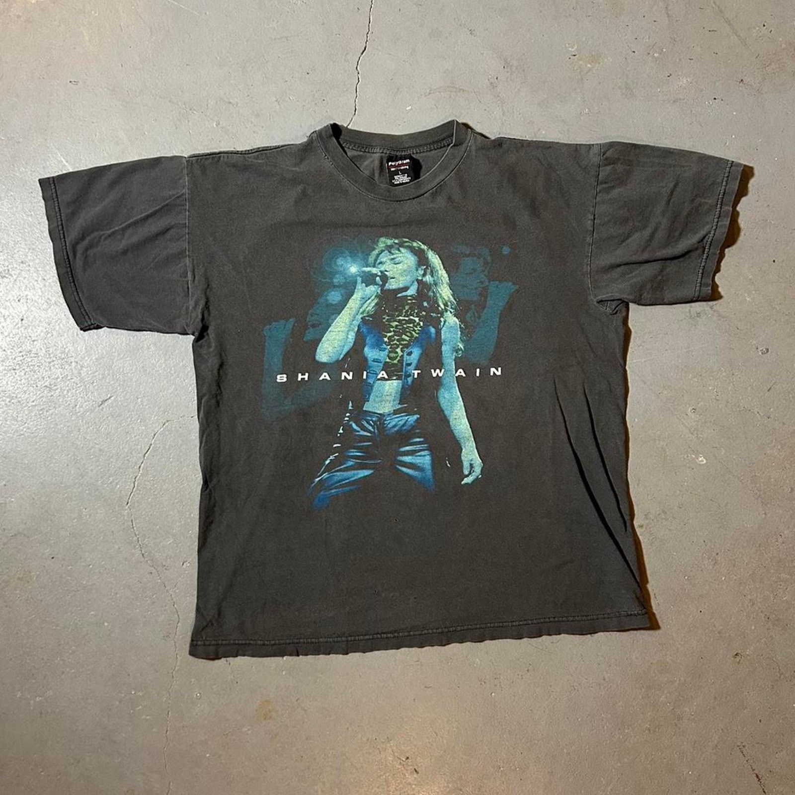 Hanes 90s shania twain tee shirt Size US L / EU 52-54 / 3 - 1 Thumbnail