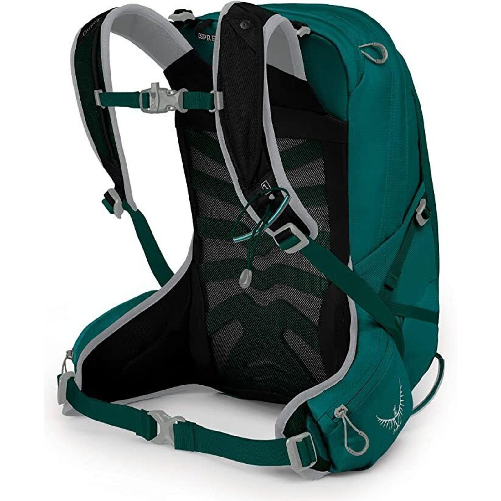 Osprey OSPREY WOMENS TEMPEST 9 JASPER GREEN XTRA HIKING KNAPSACK Size ONE SIZE - 1 Thumbnail