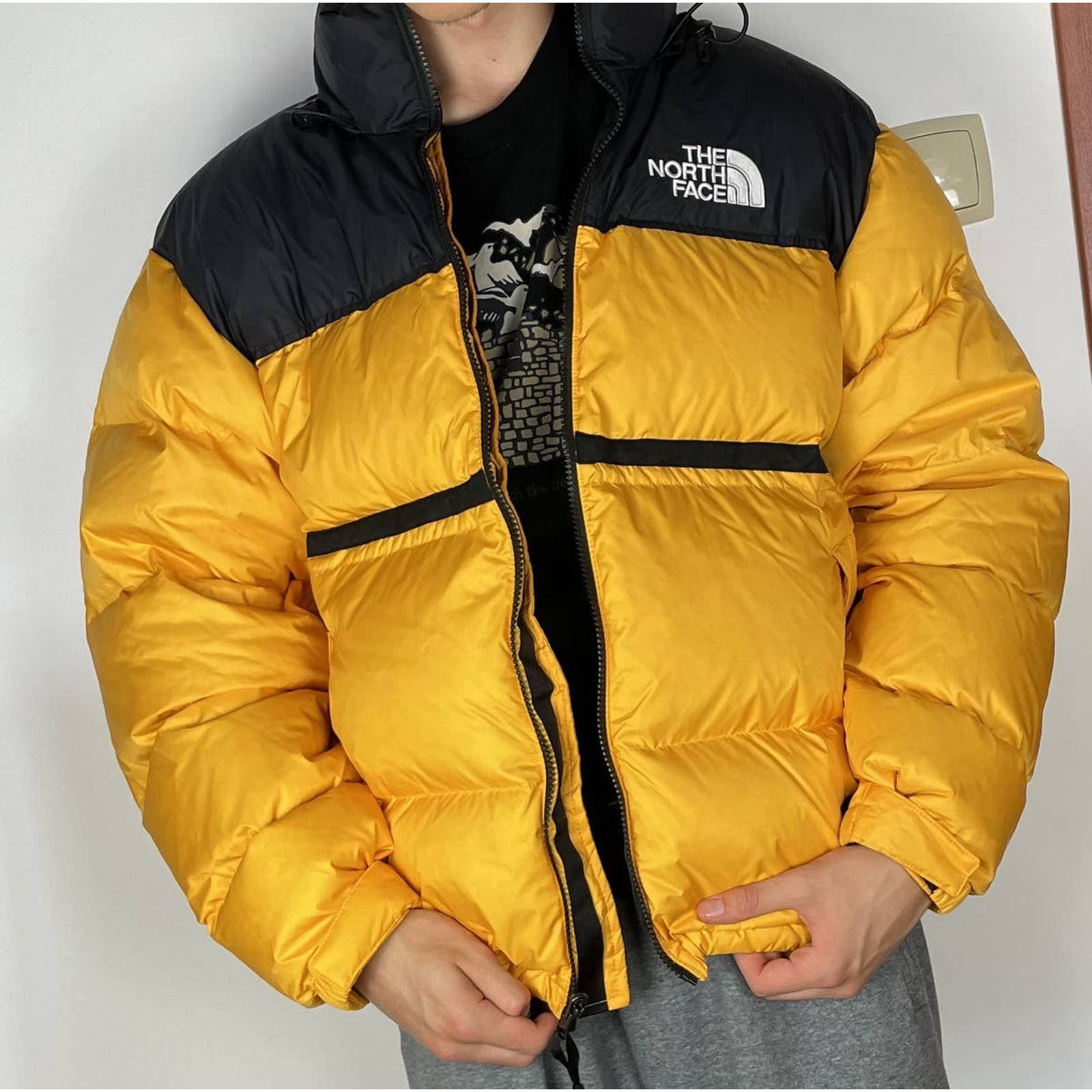 The North Face The North Face Nuptse 700 Puffer Jacket Size US L / EU 52-54 / 3 - 2 Thumbnail