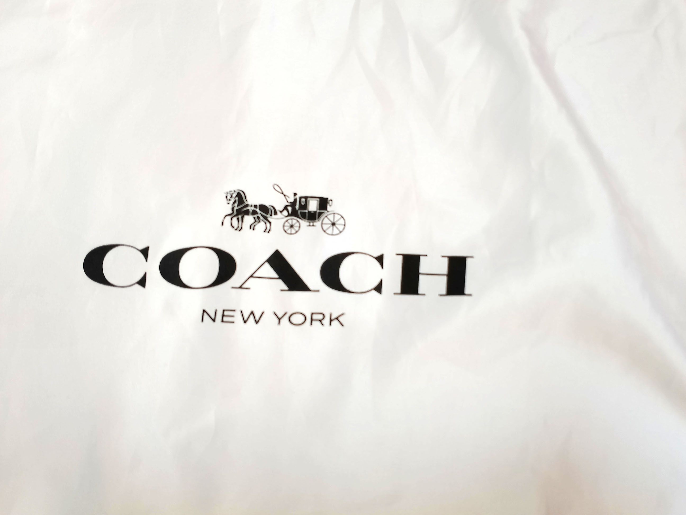 Coach Coach Large Dust Bag / Storage Cover – 60 × 48 cm Size ONE SIZE - 2 Thumbnail