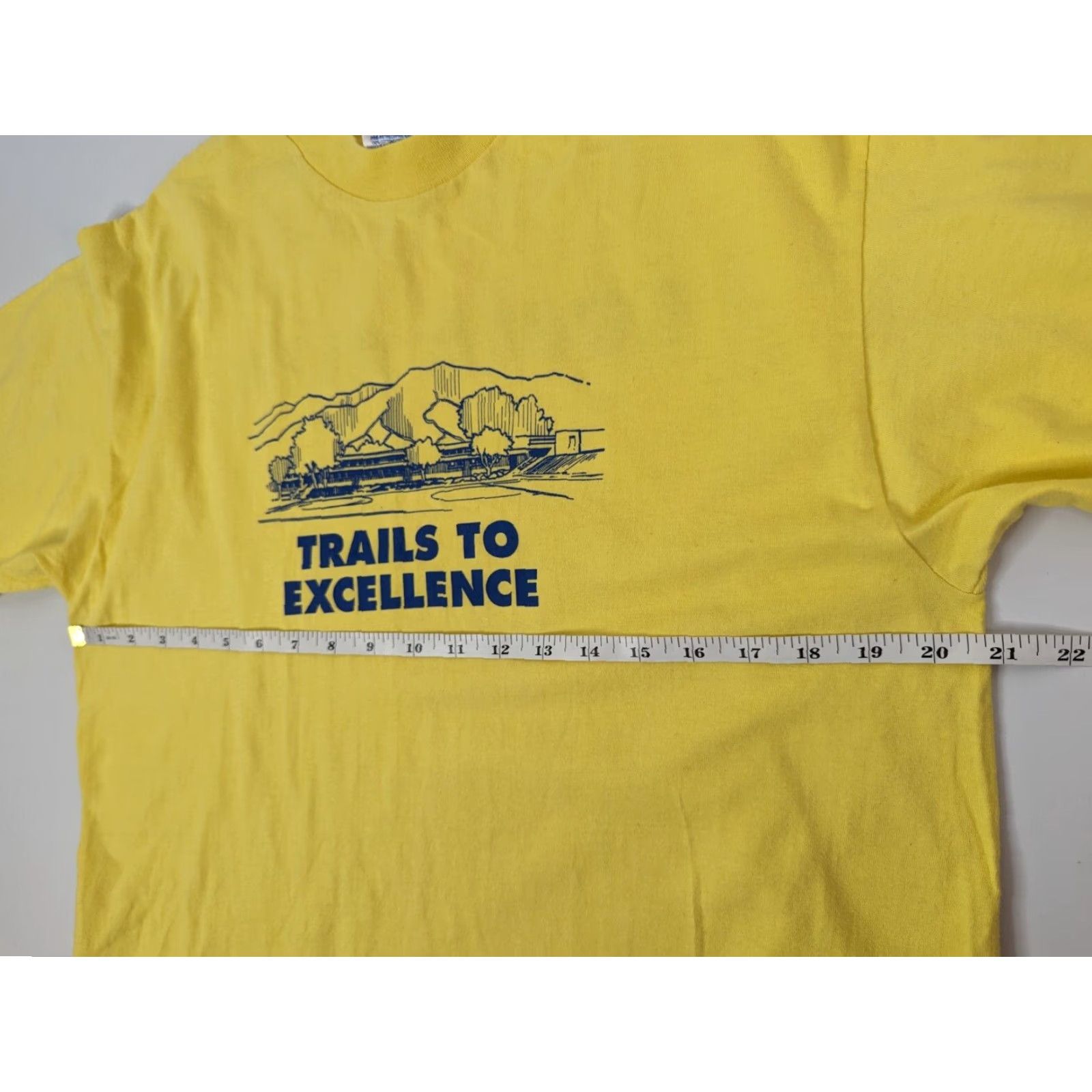 Hanes VINTAGE Hanes Beefy-T Shirt L Mens Yellow 100% Cotton Short Sleeve Crew Neck Graphic Tee USA Racing 80s 90s Beltsander Size US L / EU 52-54 / 3 - 7 Thumbnail