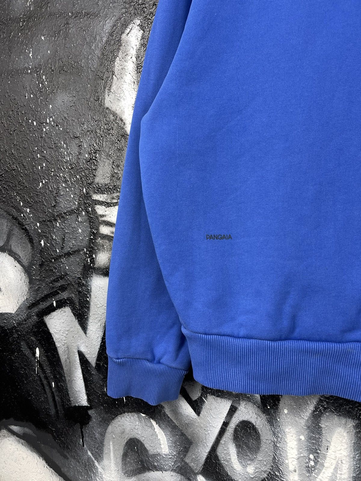 Pangaia Pangaia Oversized Hoodie Size M Size US M / EU 48-50 / 2 - 4 Thumbnail