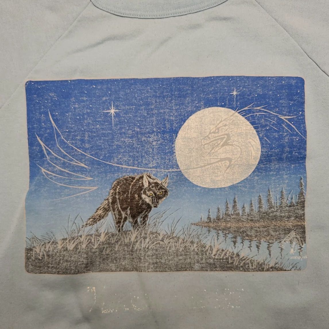 Vintage VINTAGE Wolf Sweatshirt Mens XL Blue Eagle Nature Raglan Crewneck Made in Canada Size US XL / EU 56 / 4 - 5 Thumbnail