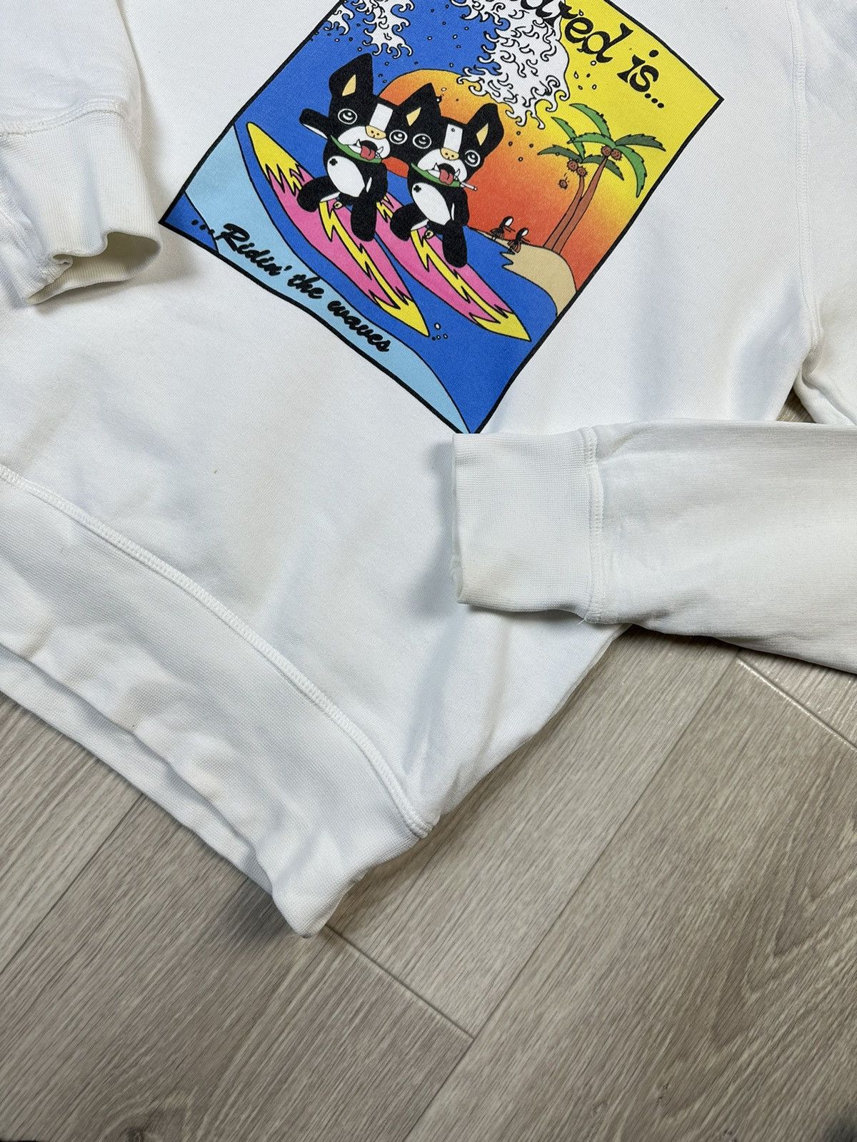 Dsquared2 Dsquared2 is Riding The Wave Hoodie Size US XS / EU 42 / 0 - 4 Thumbnail