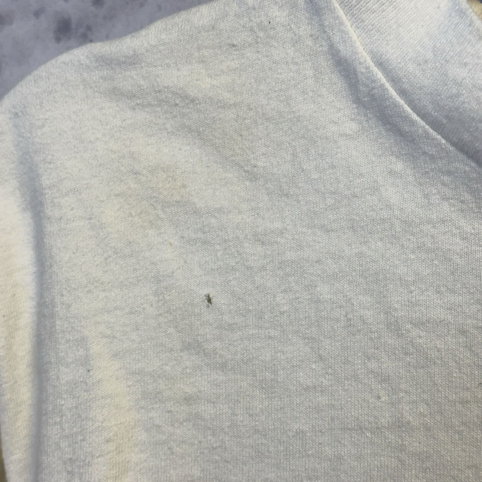 Vintage Vintage Grizzly Bear T Shirt Mens Large White Endangered Wil Size US L / EU 52-54 / 3 - 4 Thumbnail