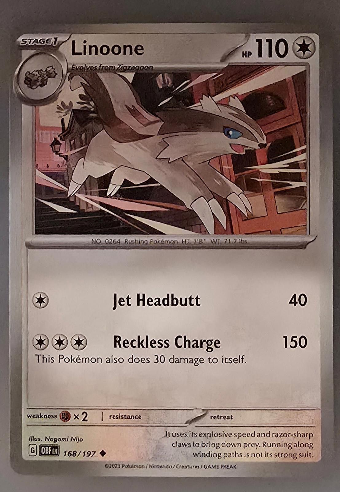 Pokemon Linoone Pokémon Scarlet & Violet Obsidian Flames Size ONE SIZE - 1 Thumbnail