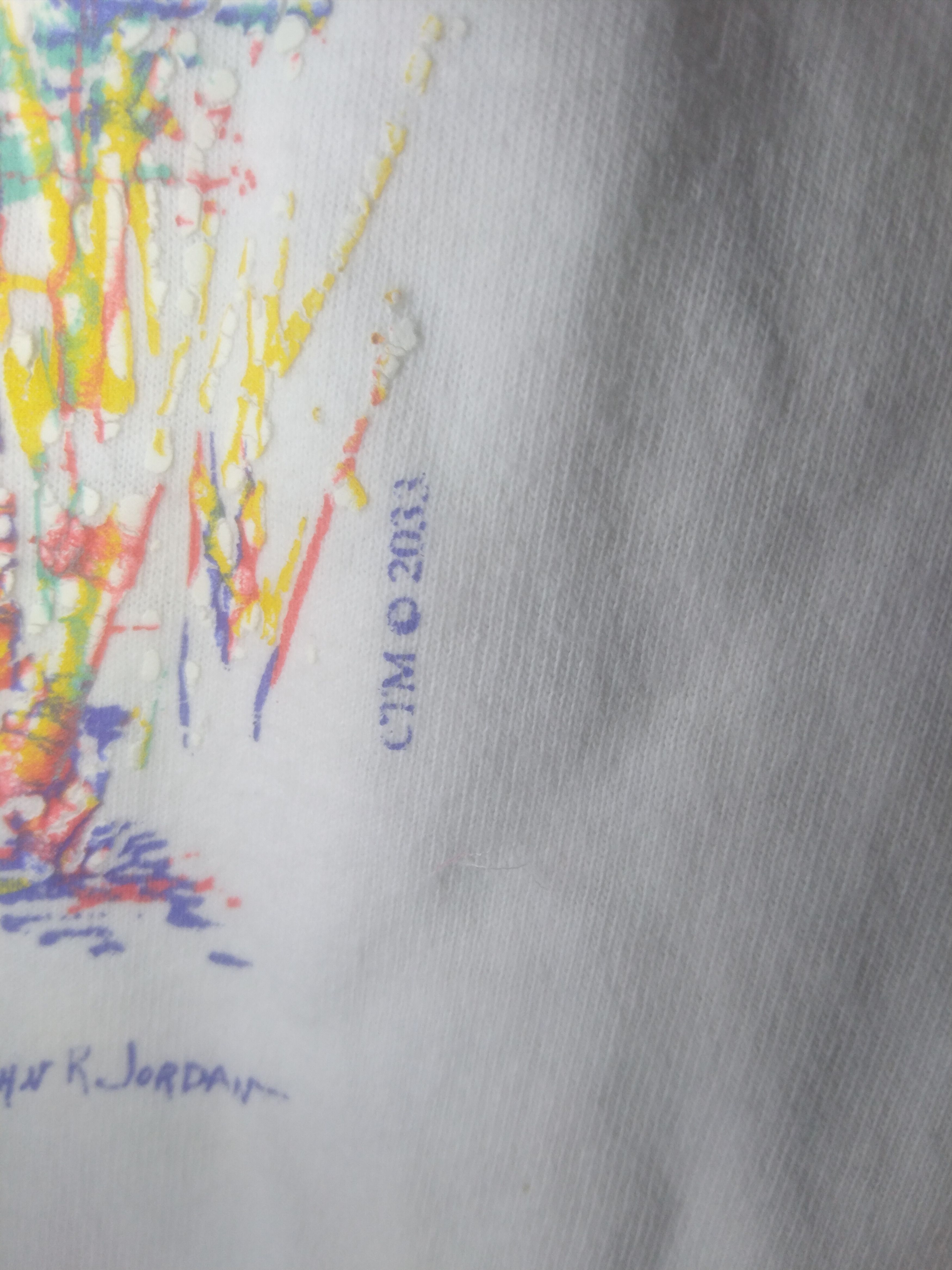 Vintage Vintage St Augustine Florida painting by John R Jordan tee Size US M / EU 48-50 / 2 - 6 Thumbnail