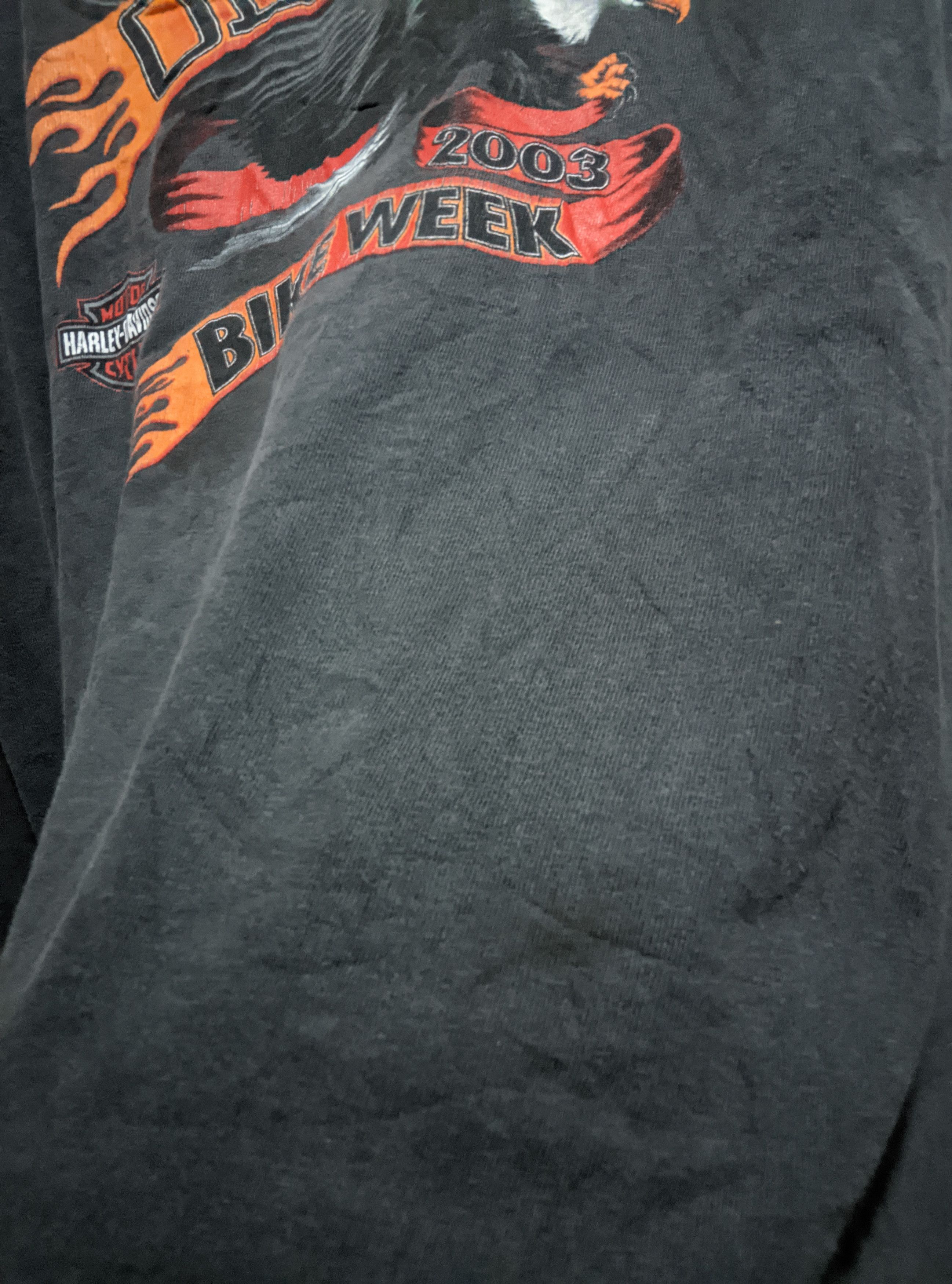 Harley Davidson Vintage 2003 Harley Davidson sleeve flame wcc sun faded erd Size US L / EU 52-54 / 3 - 7 Thumbnail