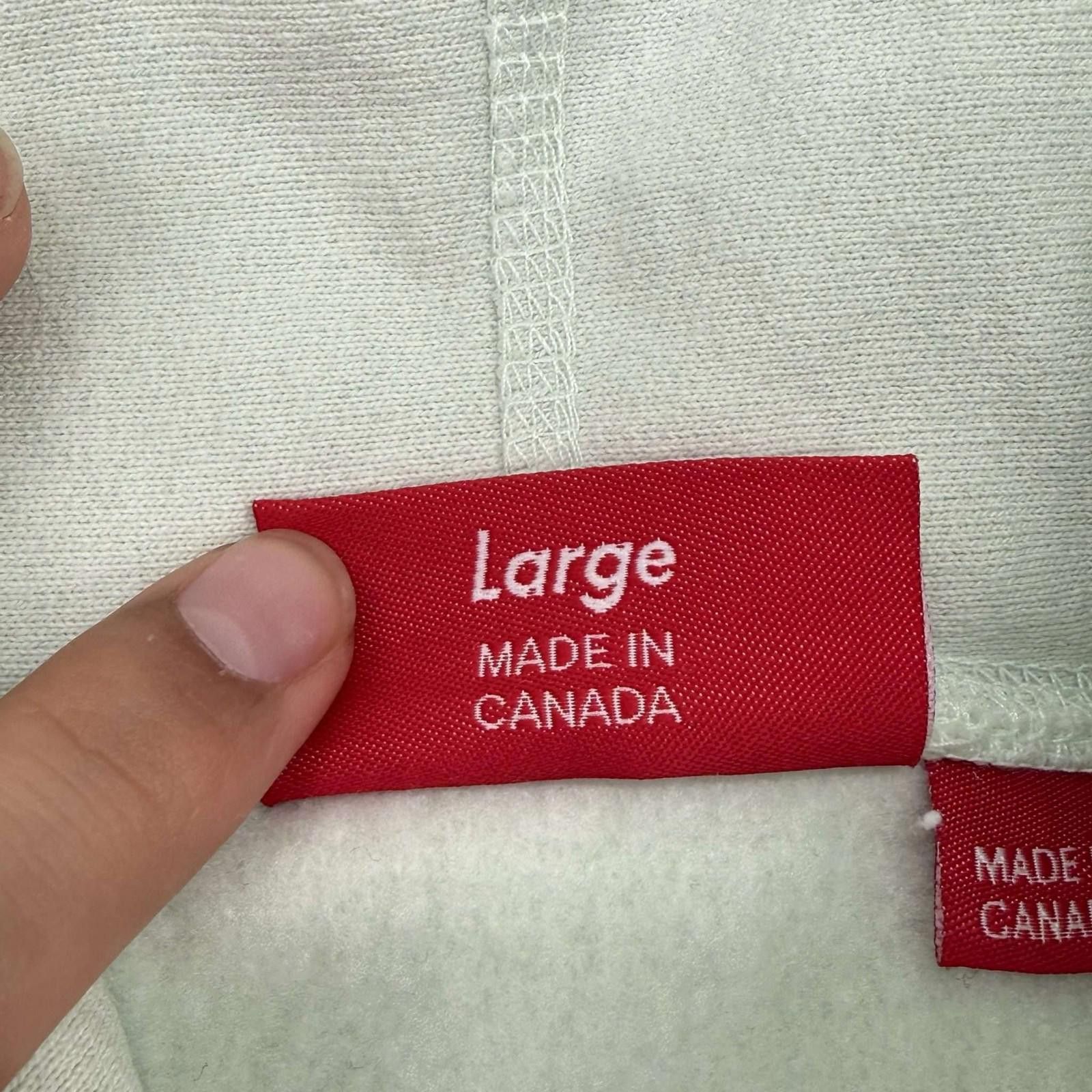 Supreme Supreme Box Logo Hooded Sweatshirt Light Green FW23 Size US L / EU 52-54 / 3 - 7 Thumbnail