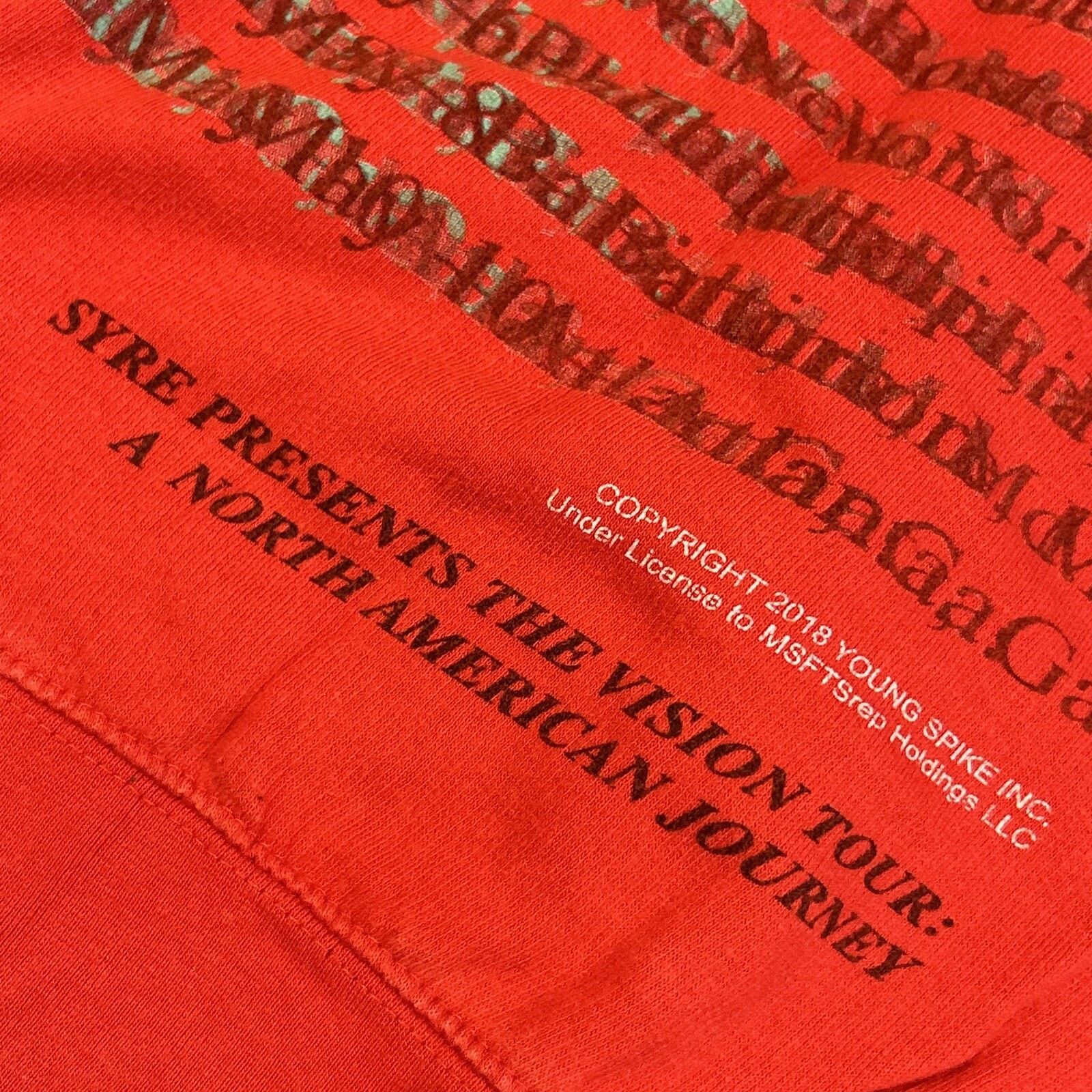 Msftsrep Jaden Smith Vision Tour Hoodie Men Medium 2018 Concert Merch Size US M / EU 48-50 / 2 - 6 Thumbnail