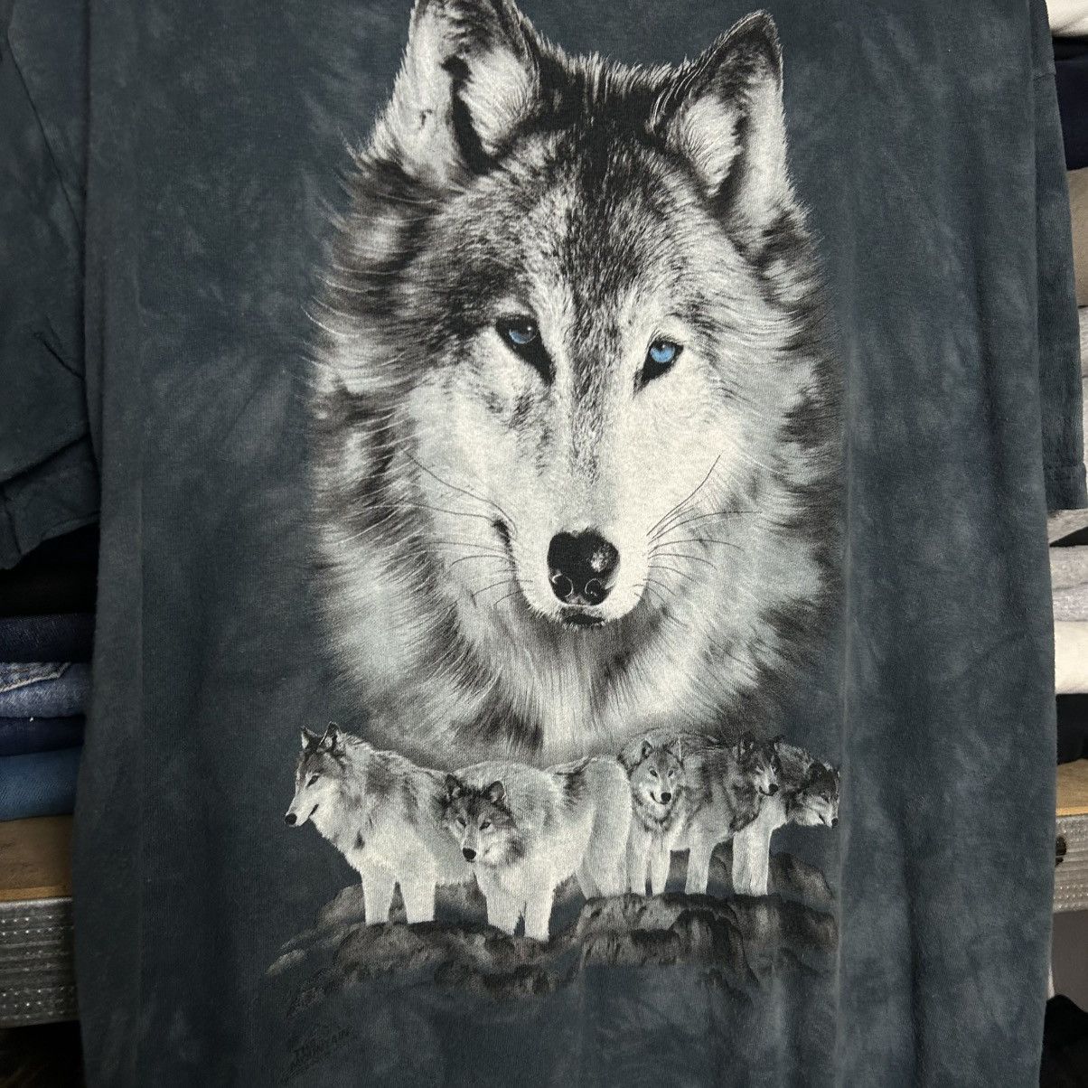 The Mountain Vintage The Mountain 2004 Made In USA Wolf logo tee Size US L / EU 52-54 / 3 - 2 Thumbnail