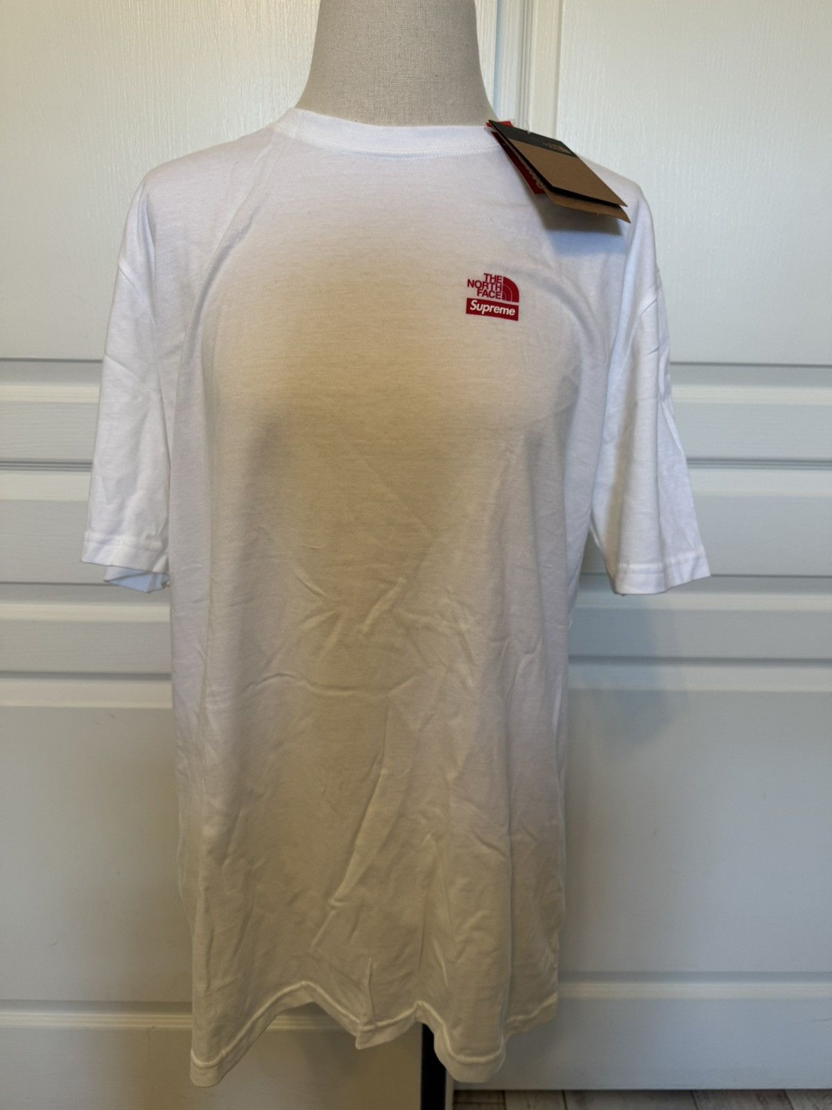 Supreme The North Face Statue of Liberty Tee