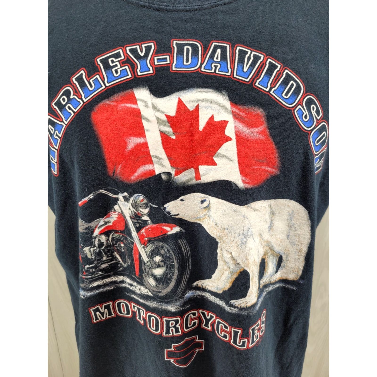 Harley Davidson VINTAGE Harley-Davidson T-Shirt Men 2002 Black Large Eagle Flames Canada Ontario CA TD 2000-2009 Size US L / EU 52-54 / 3 - 2 Thumbnail